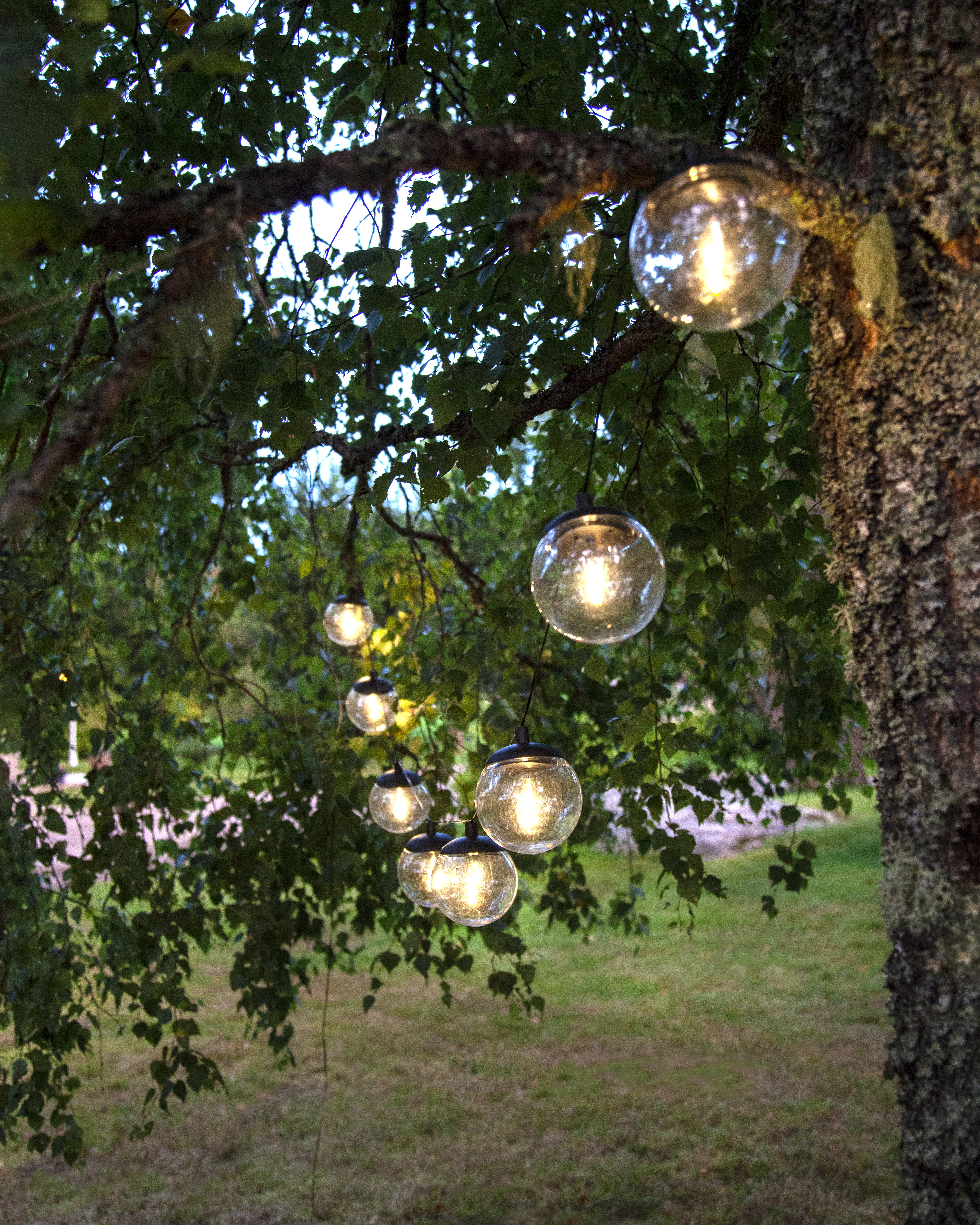Solar cell light string - Solar cell lighting - Solar cell string - 3