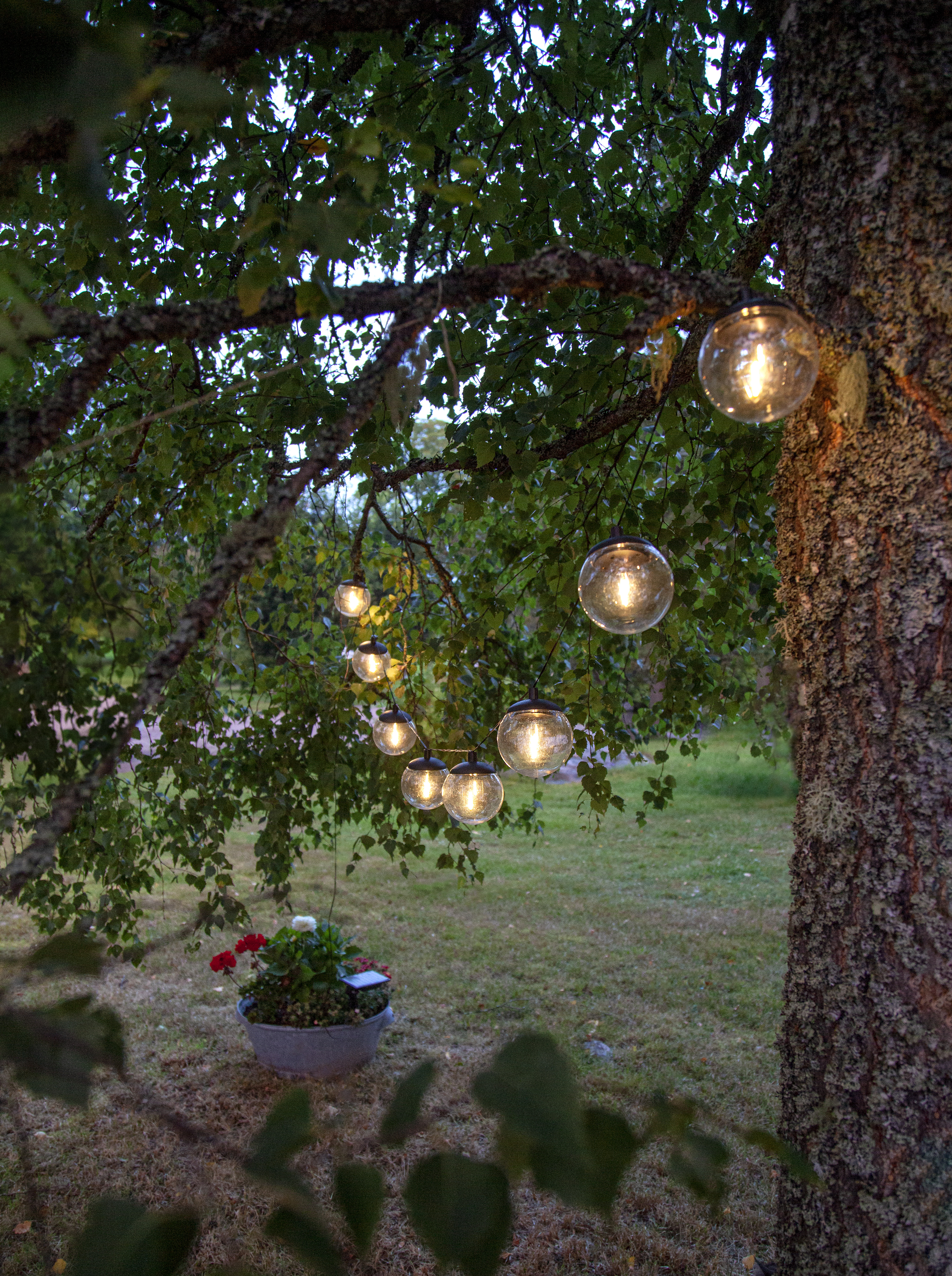Solar cell light string - Solar cell lighting - Solar cell string - 2