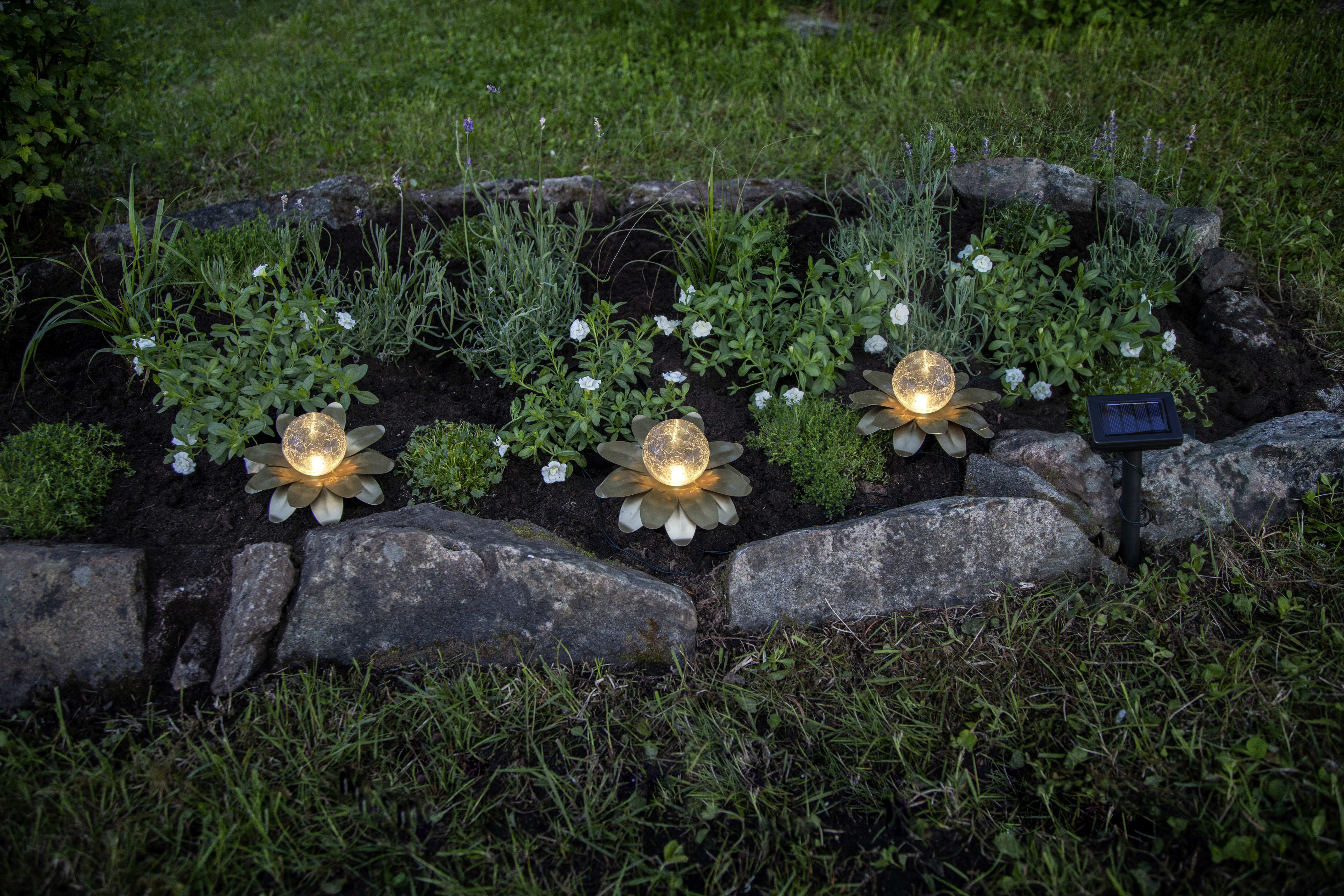 Solcellsdekoration - Lily - Näckrosor - 3 blommor - 4