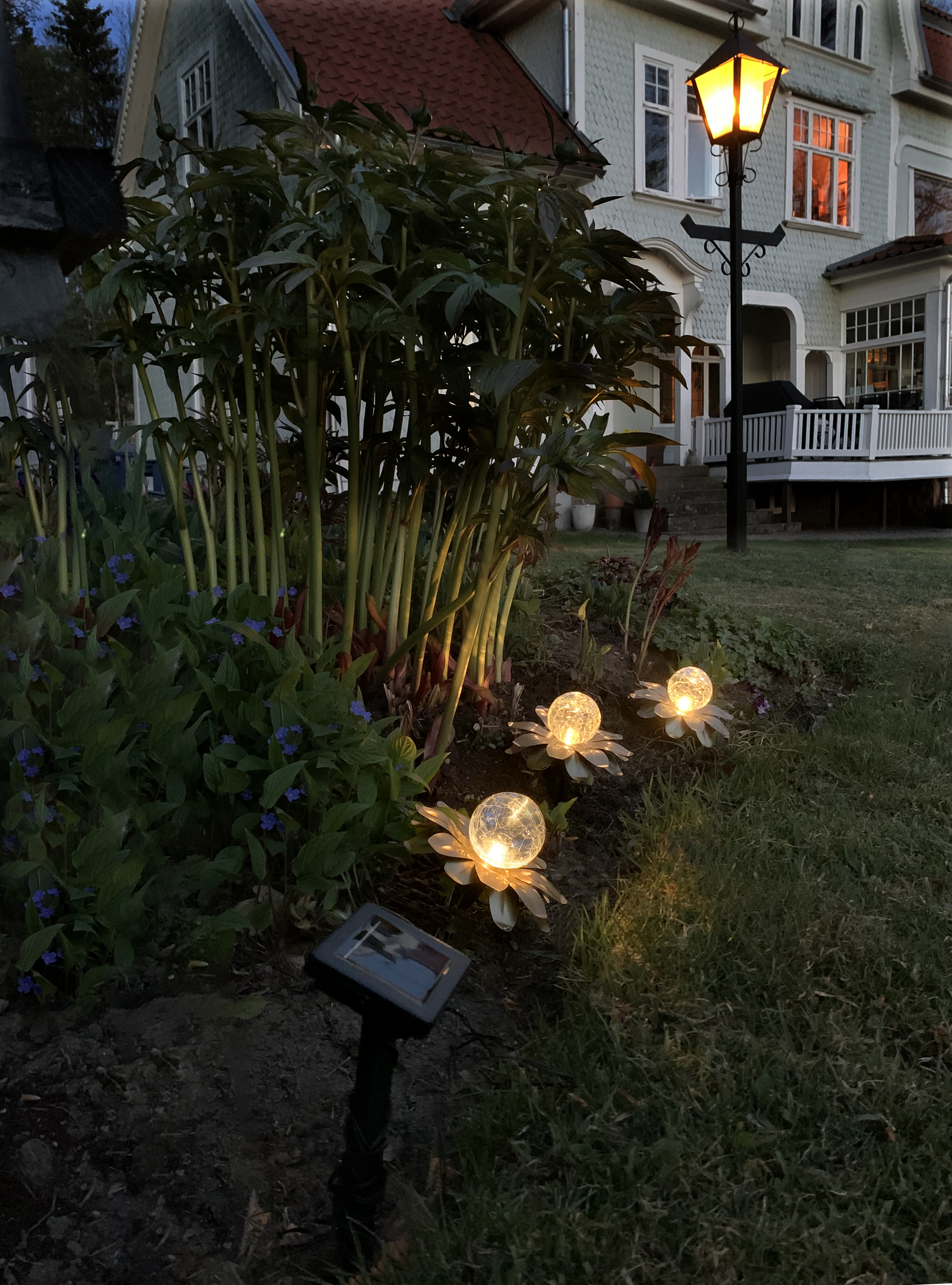 Solar-powered decoration - Lily - Water lilies - 3 flowers