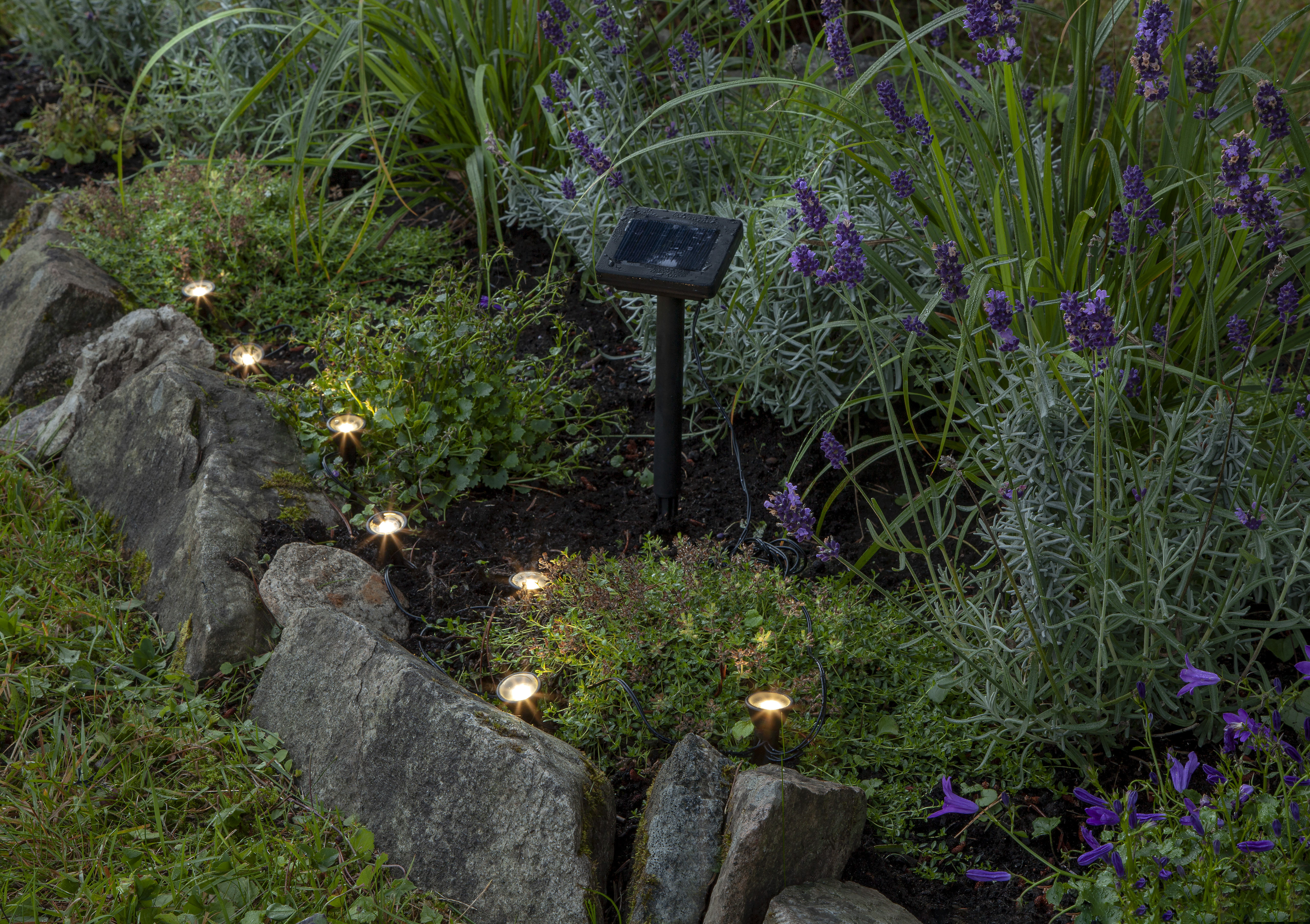 Solar light string with 8 mini spotlights - 4