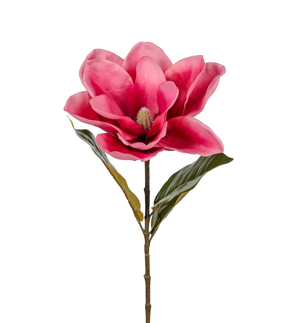 Magnolia Kvist Mörkrosa 70 cm - 3