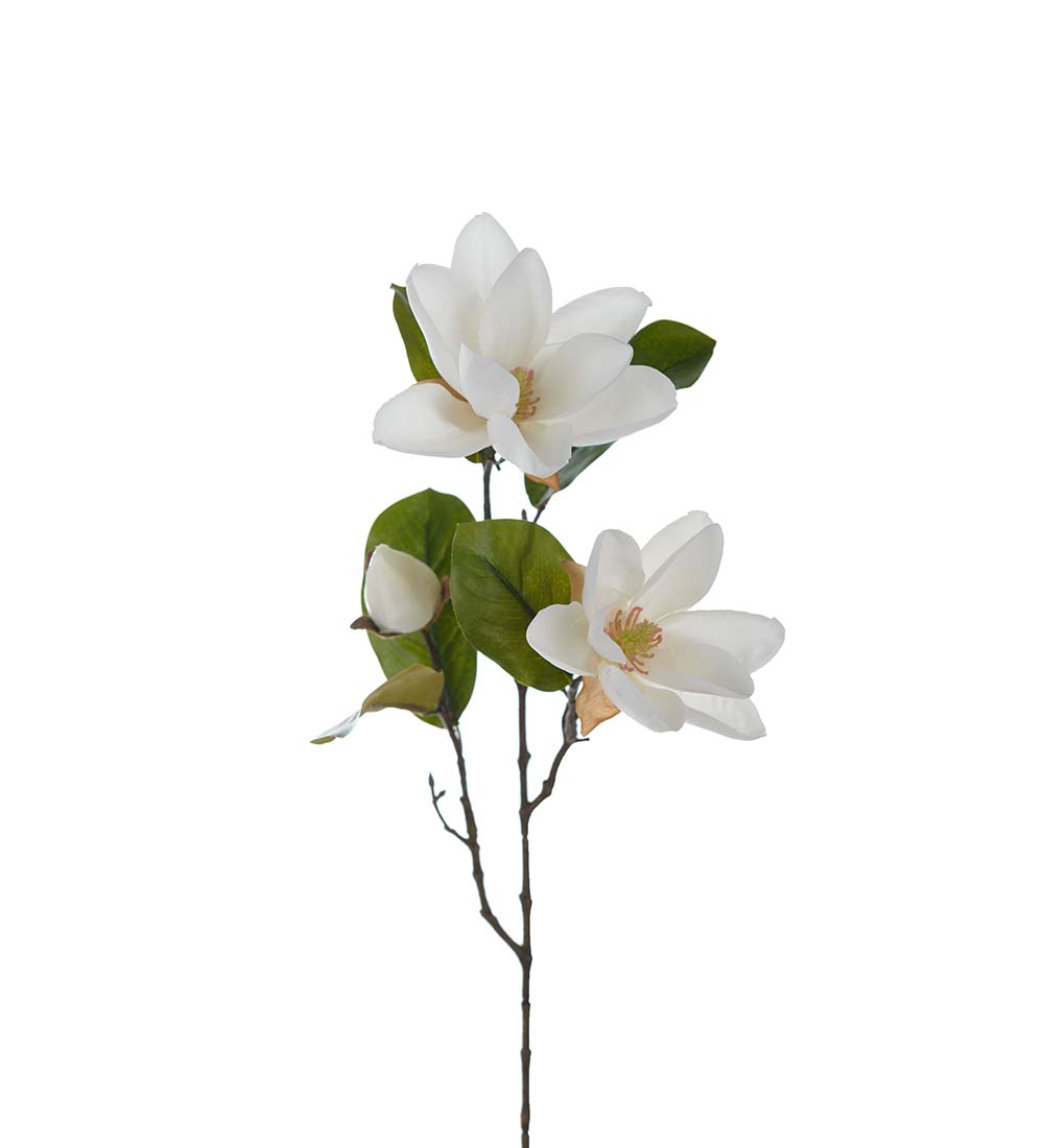 Magnolia Kvist Vit 70 cm - 2