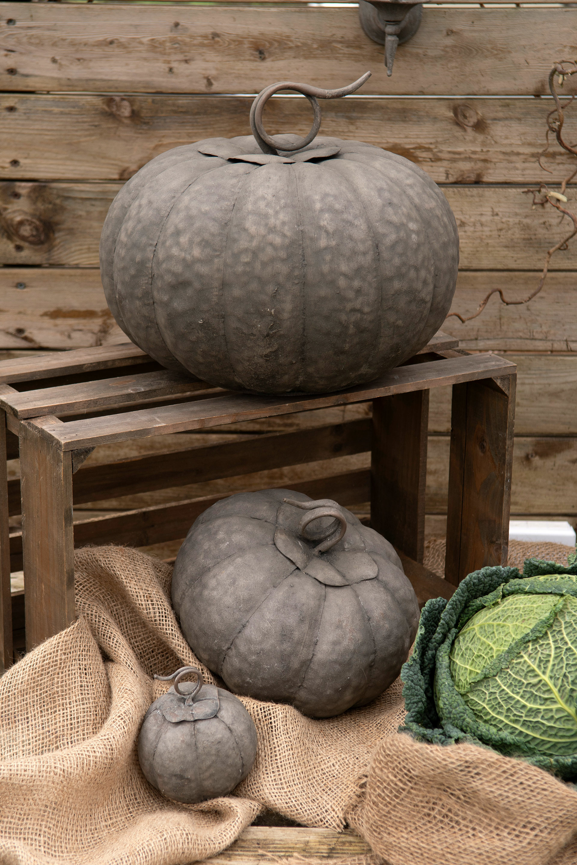 Pumpa - Metall - Rund - Dekoration - 16x15,5 cm - 3
