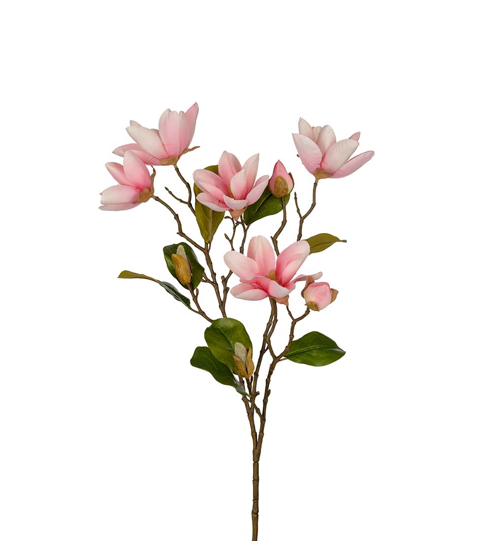 Magnolia Kvist Rosa 90 cm - 2