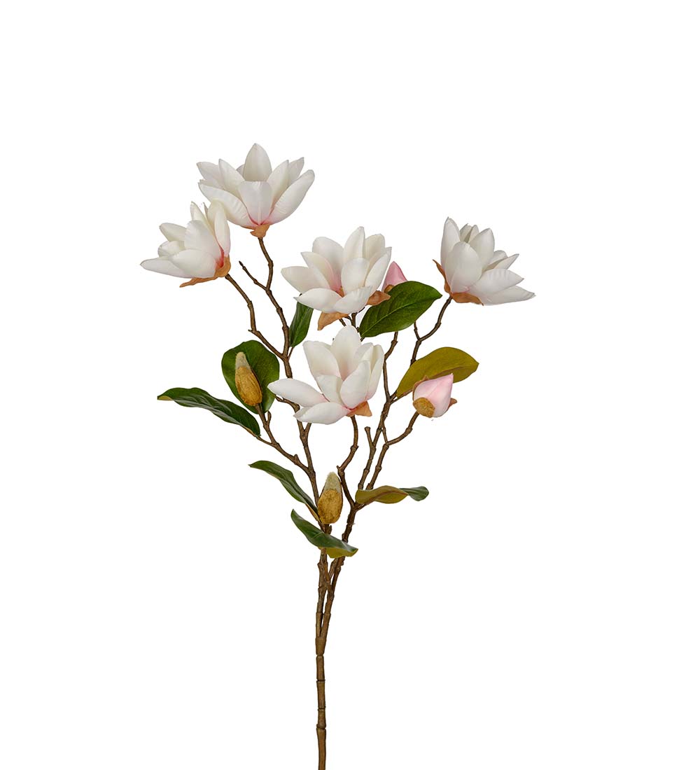 Magnolia Kvist Ljusrosa 90 cm - 3
