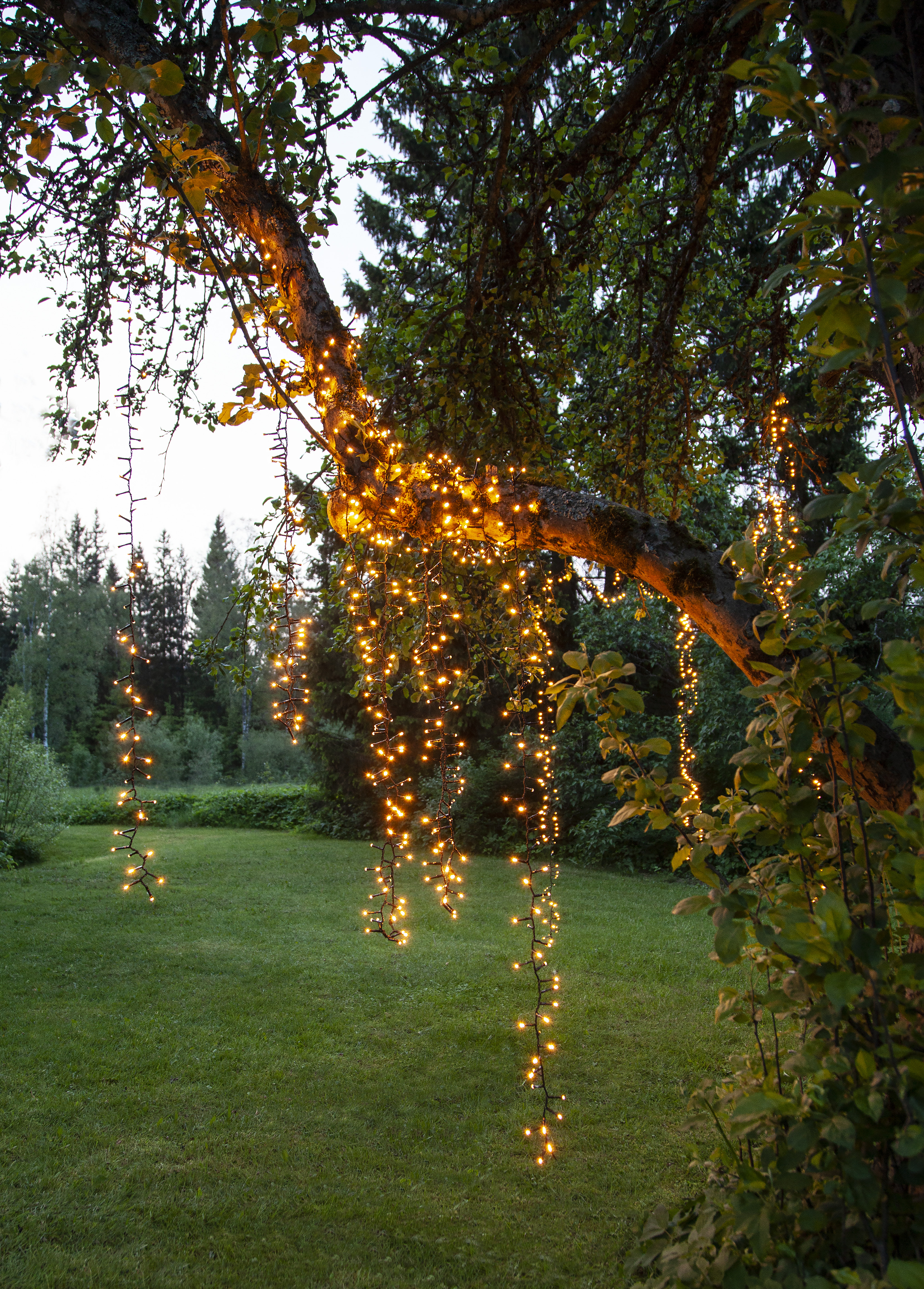 Light string Golden Warm White - 11 metres - 7