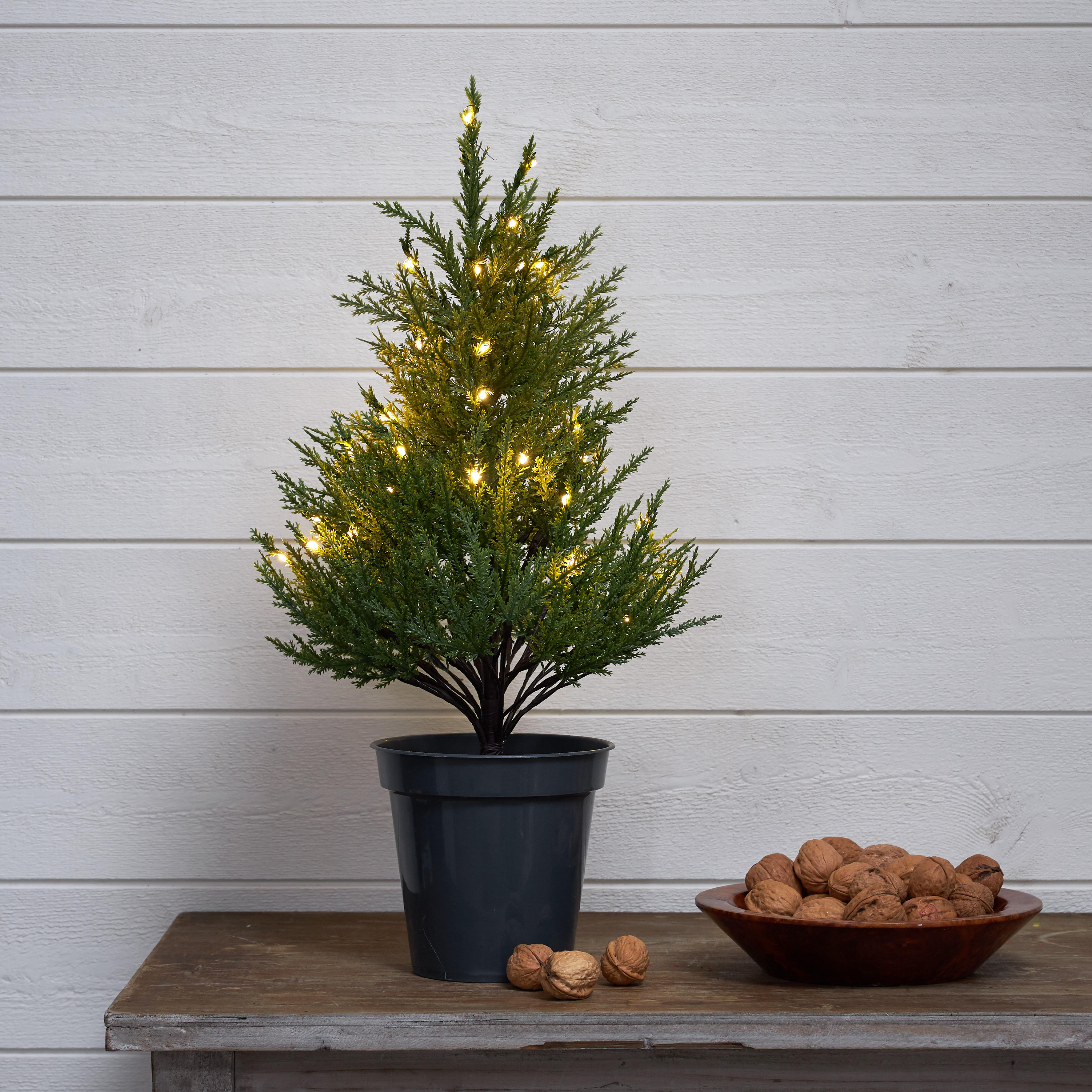 Decorative tree - Thuja - Spruce - 55 cm