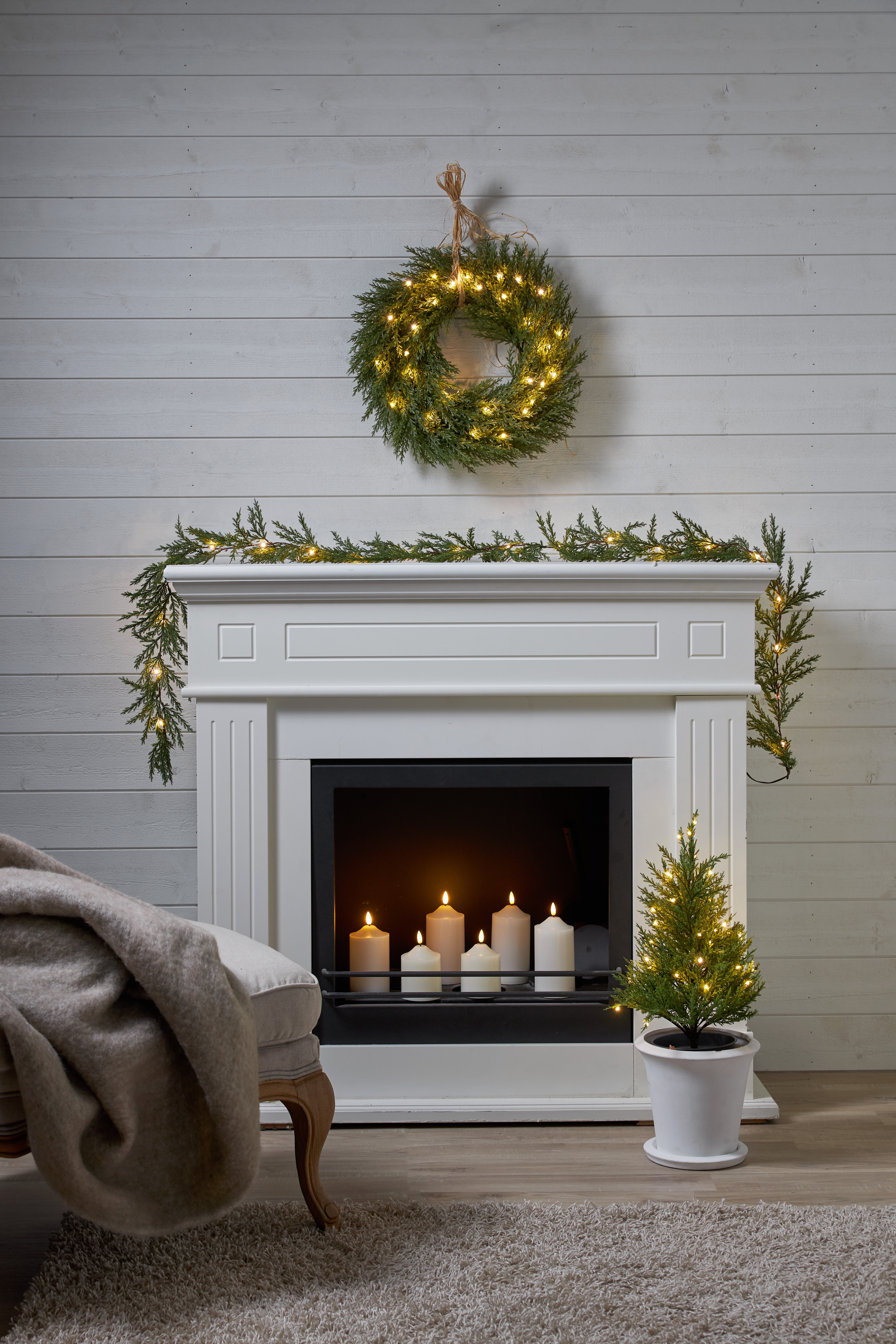 Decorative tree - Thuja - Spruce - 55 cm - 6
