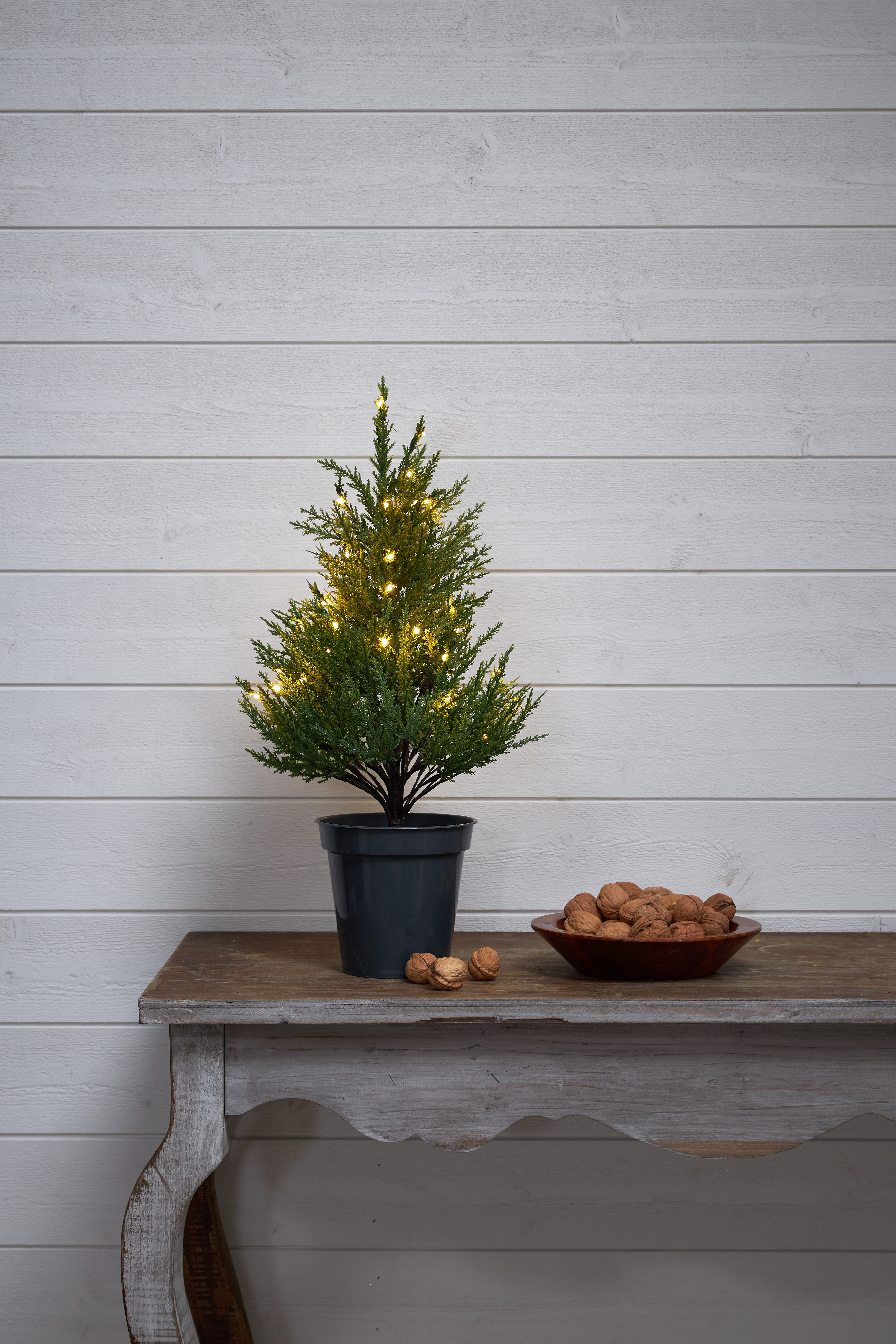 Decorative tree - Thuja - Spruce - 55 cm - 2