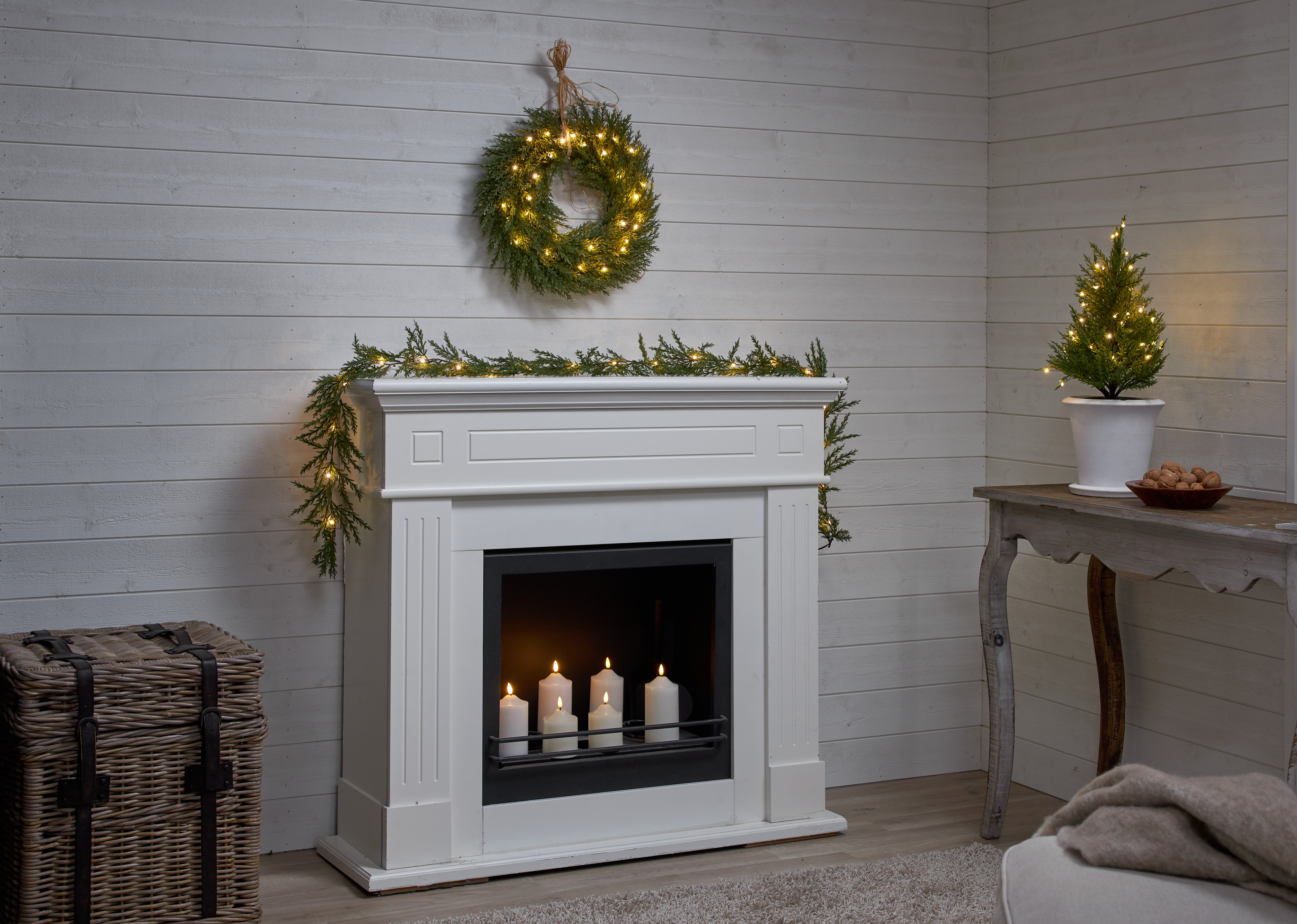 Decorative tree - Thuja - Spruce - 55 cm - 5