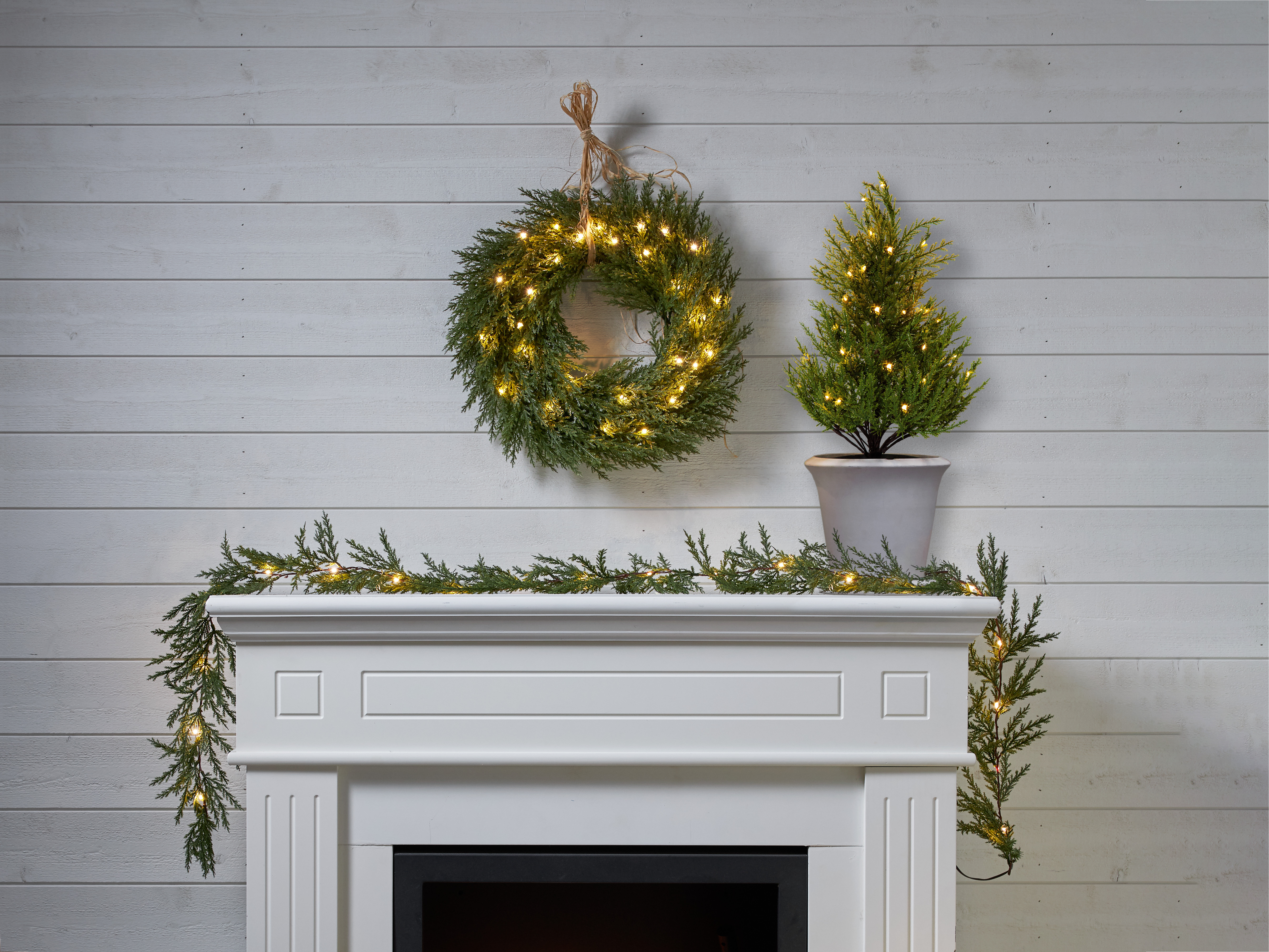Decorative tree - Thuja - Spruce - 55 cm - 7