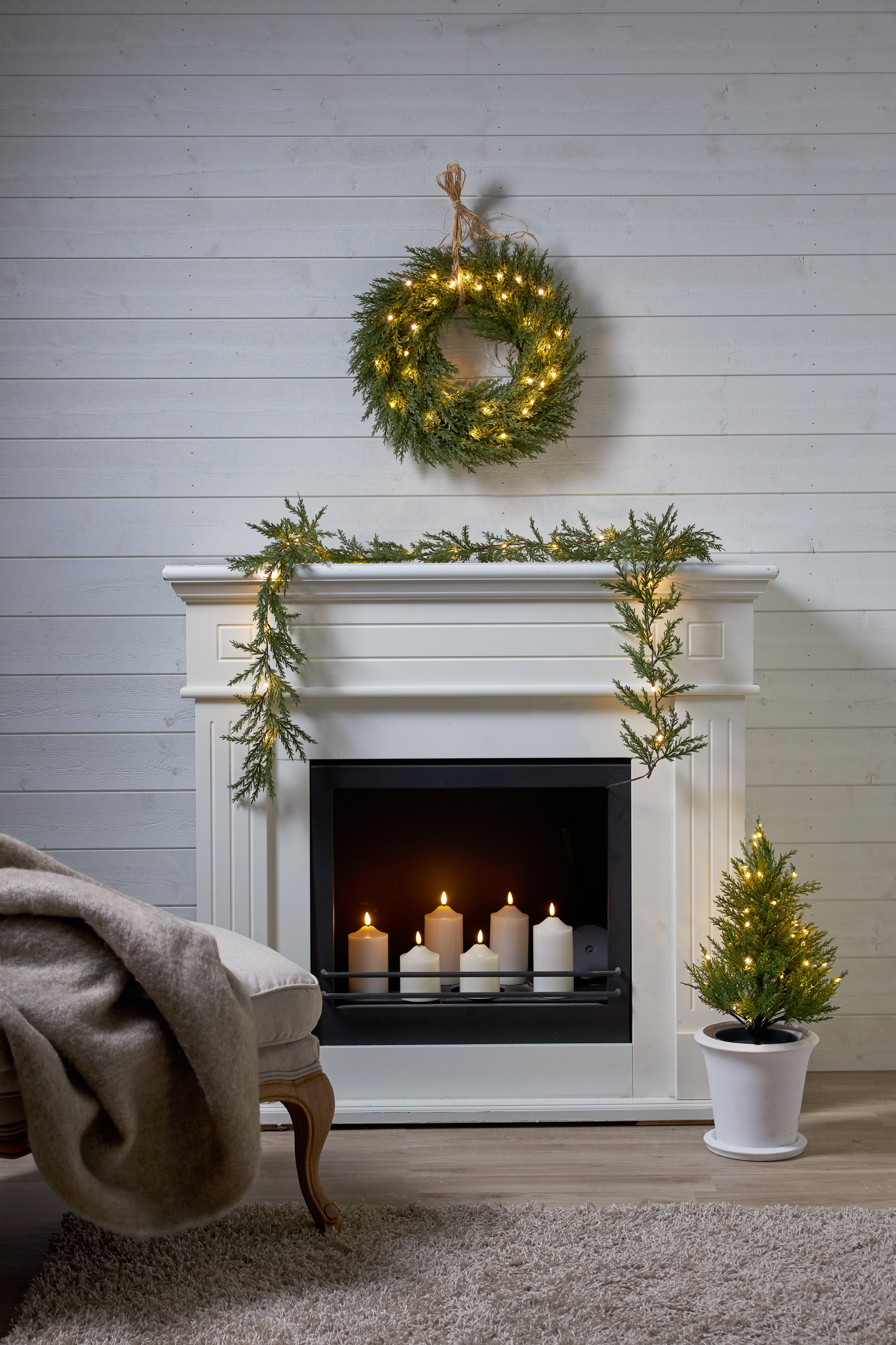 Decorative tree - Thuja - Spruce - 55 cm - 4