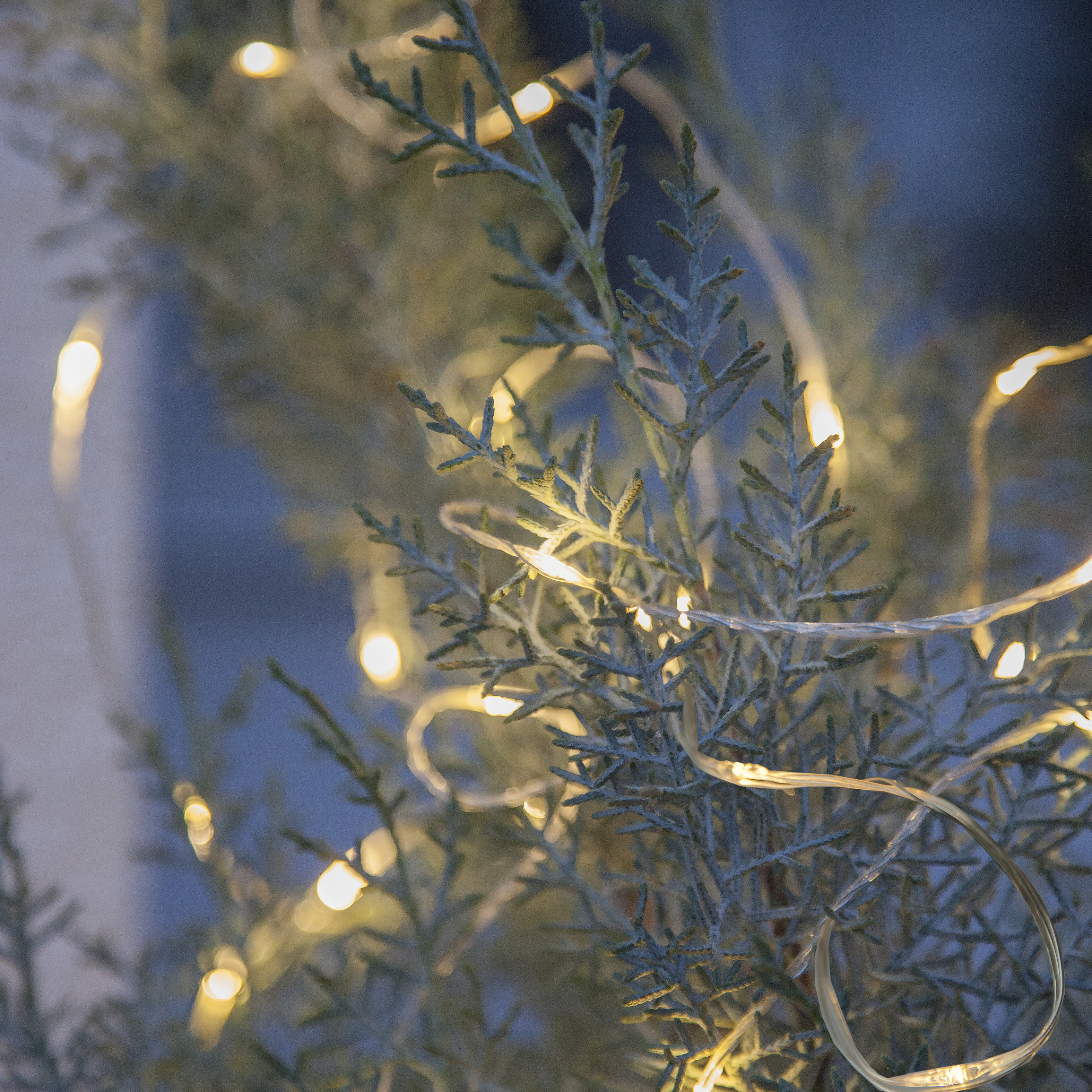 Dew Drop Outdoor String Lights - 7