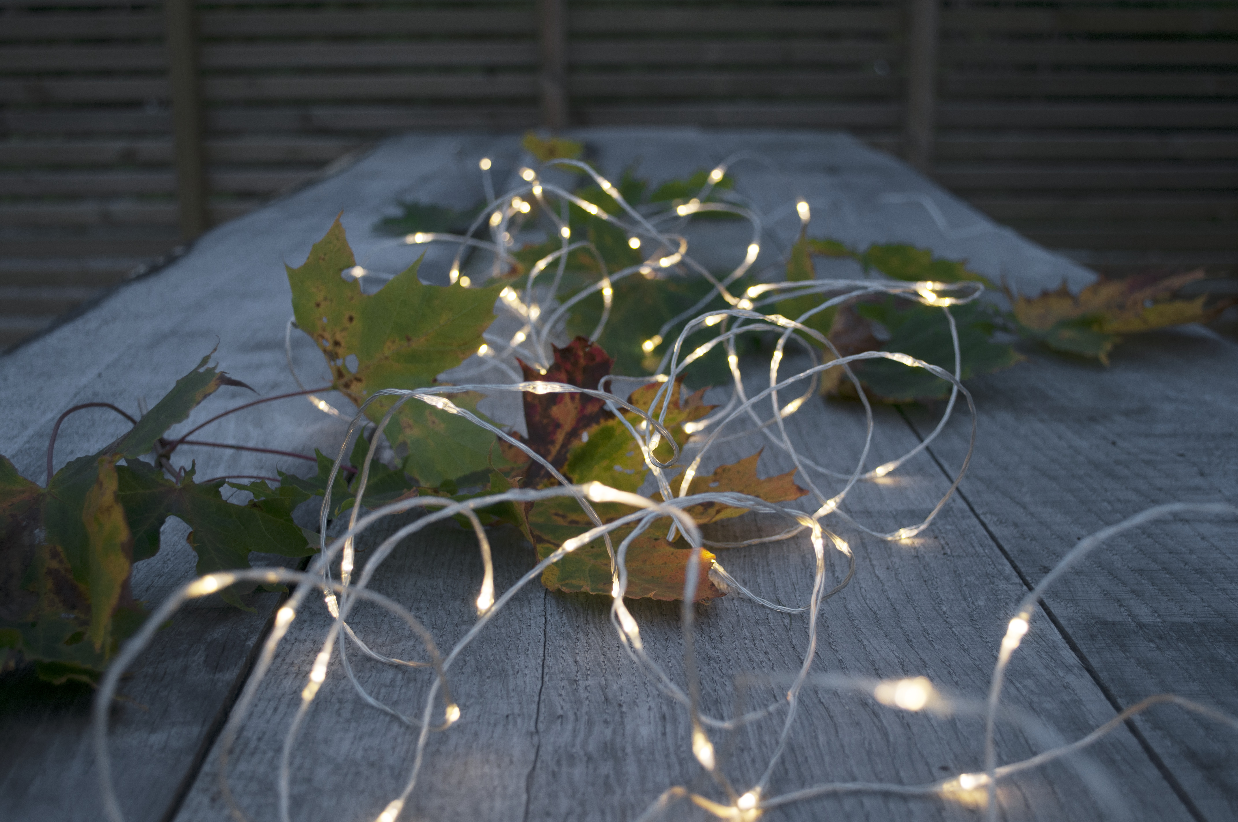 Dew Drop Outdoor String Lights - 13