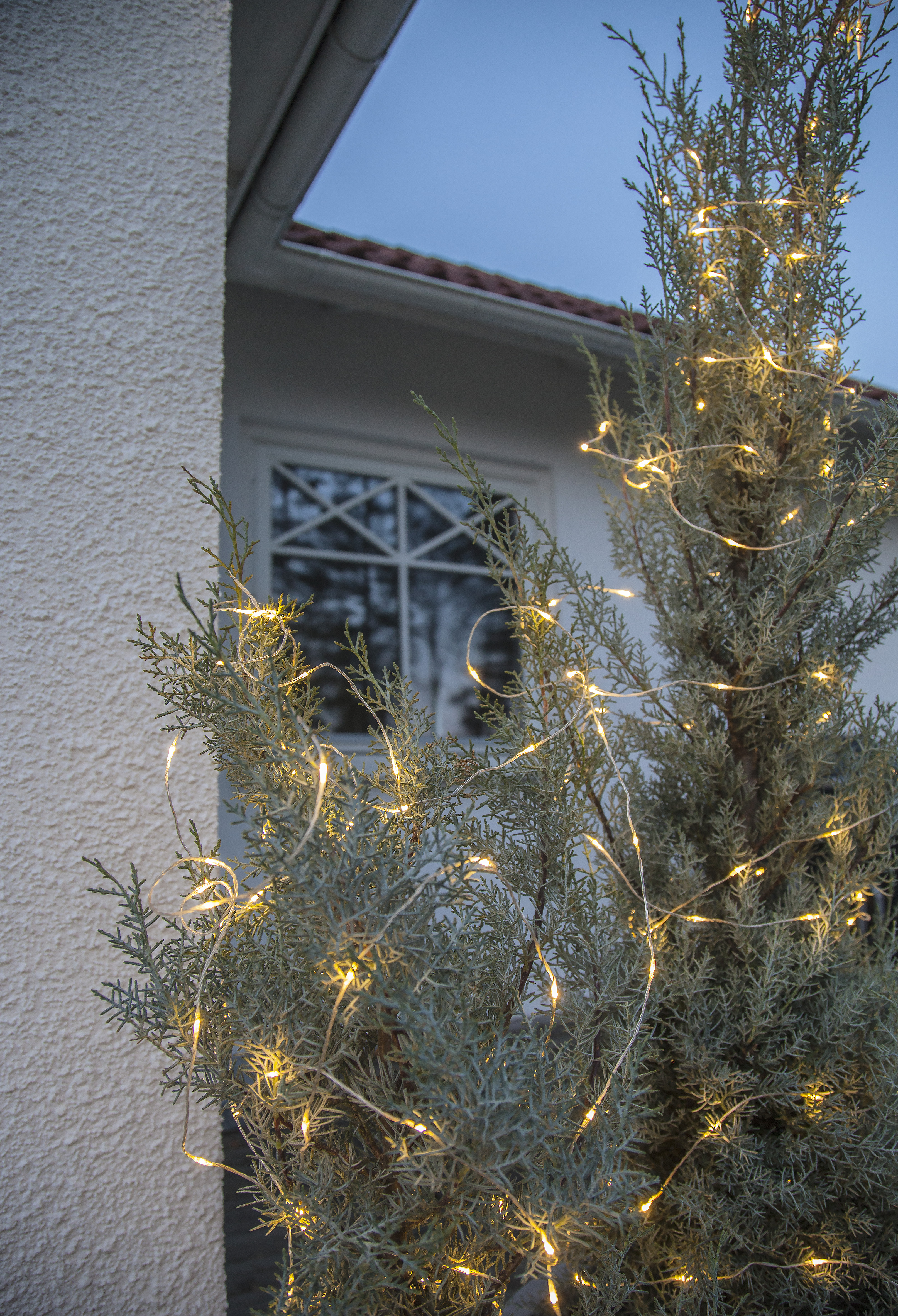 Dew Drop Outdoor String Lights - 10