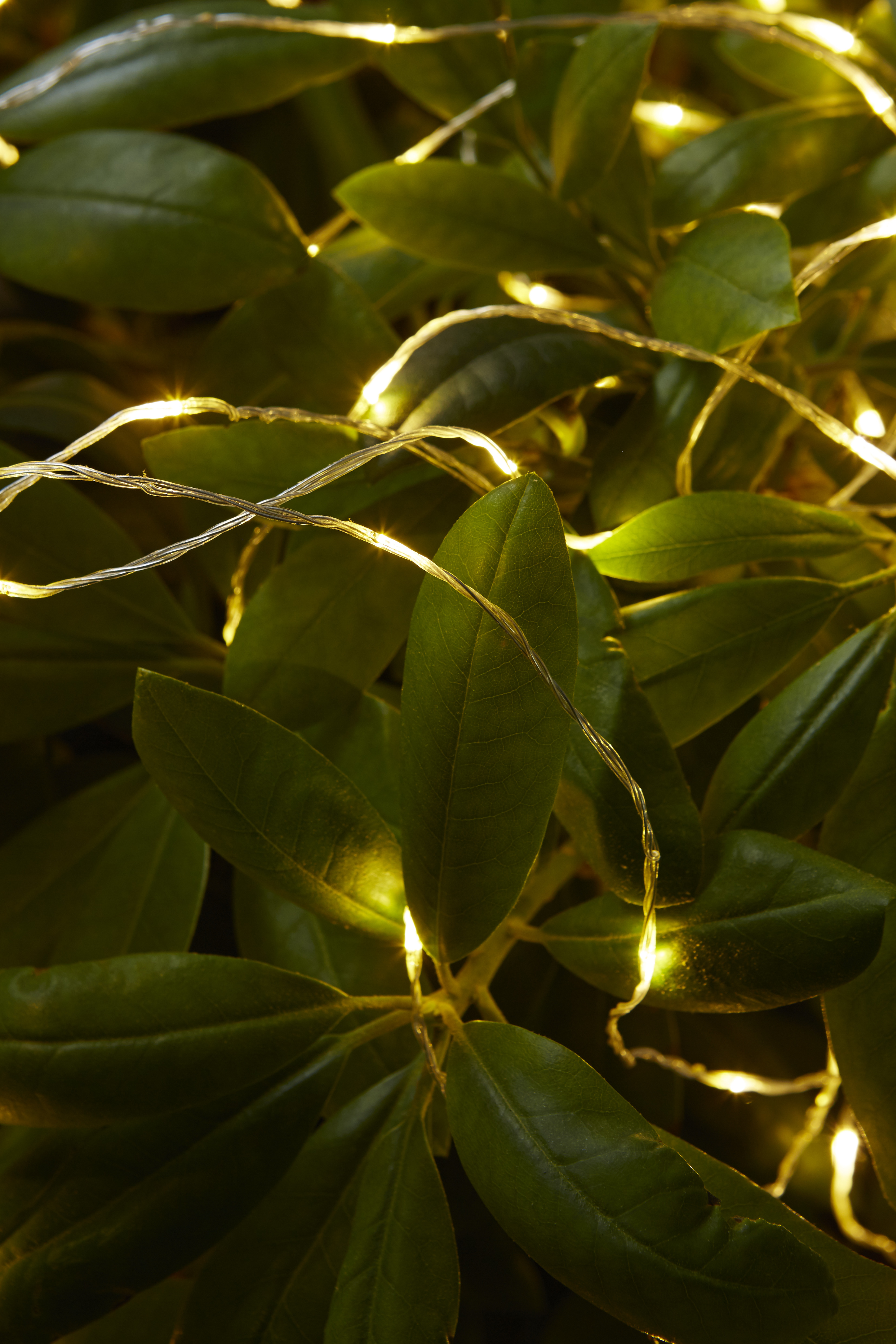 Light string Dew Drop Outdoor - 20 metres - 10
