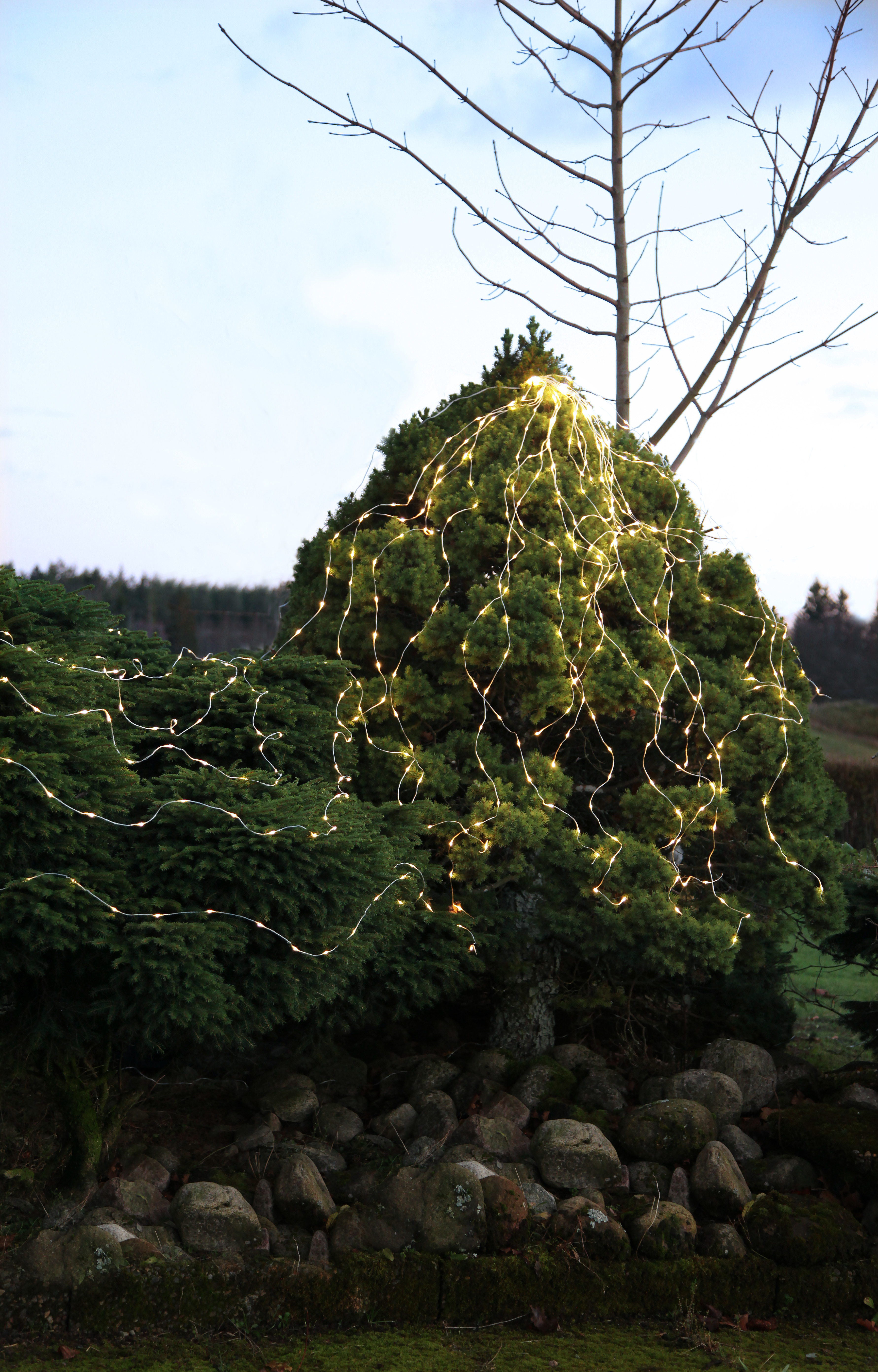 Light string Dew Drop Outdoor - 20 metres - 15