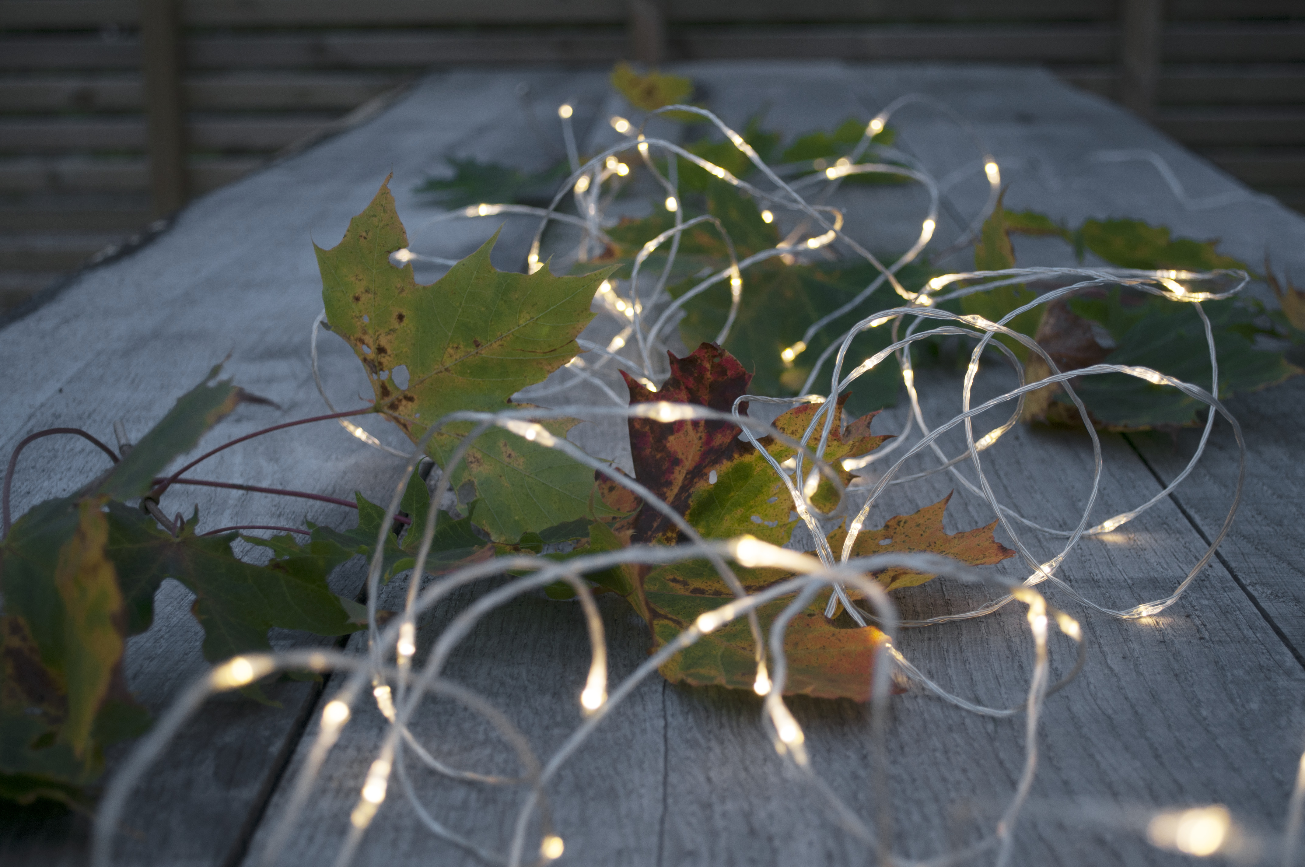 Light string Dew Drop Outdoor - 20 metres - 17