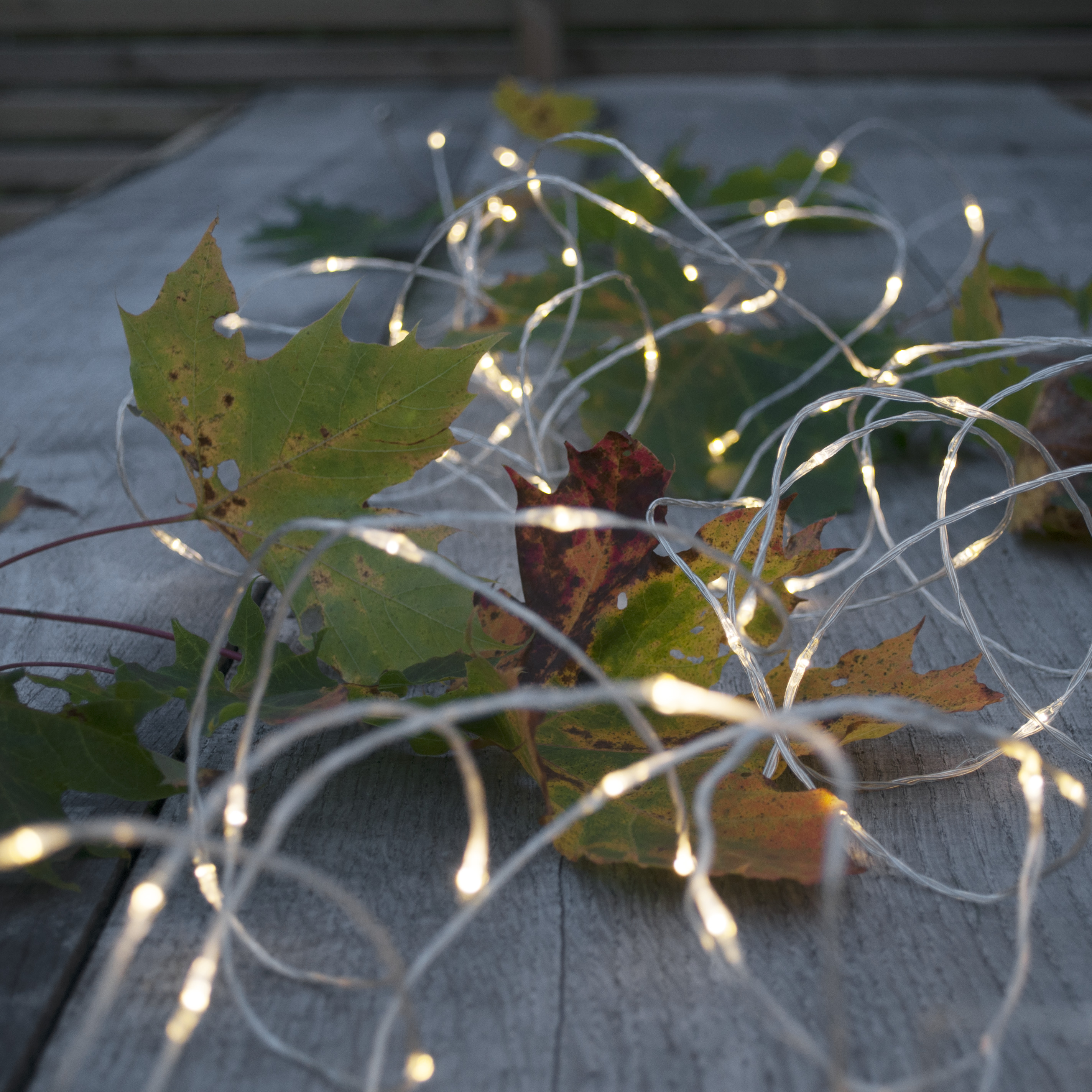 Light string Dew Drop Outdoor - 20 metres - 4