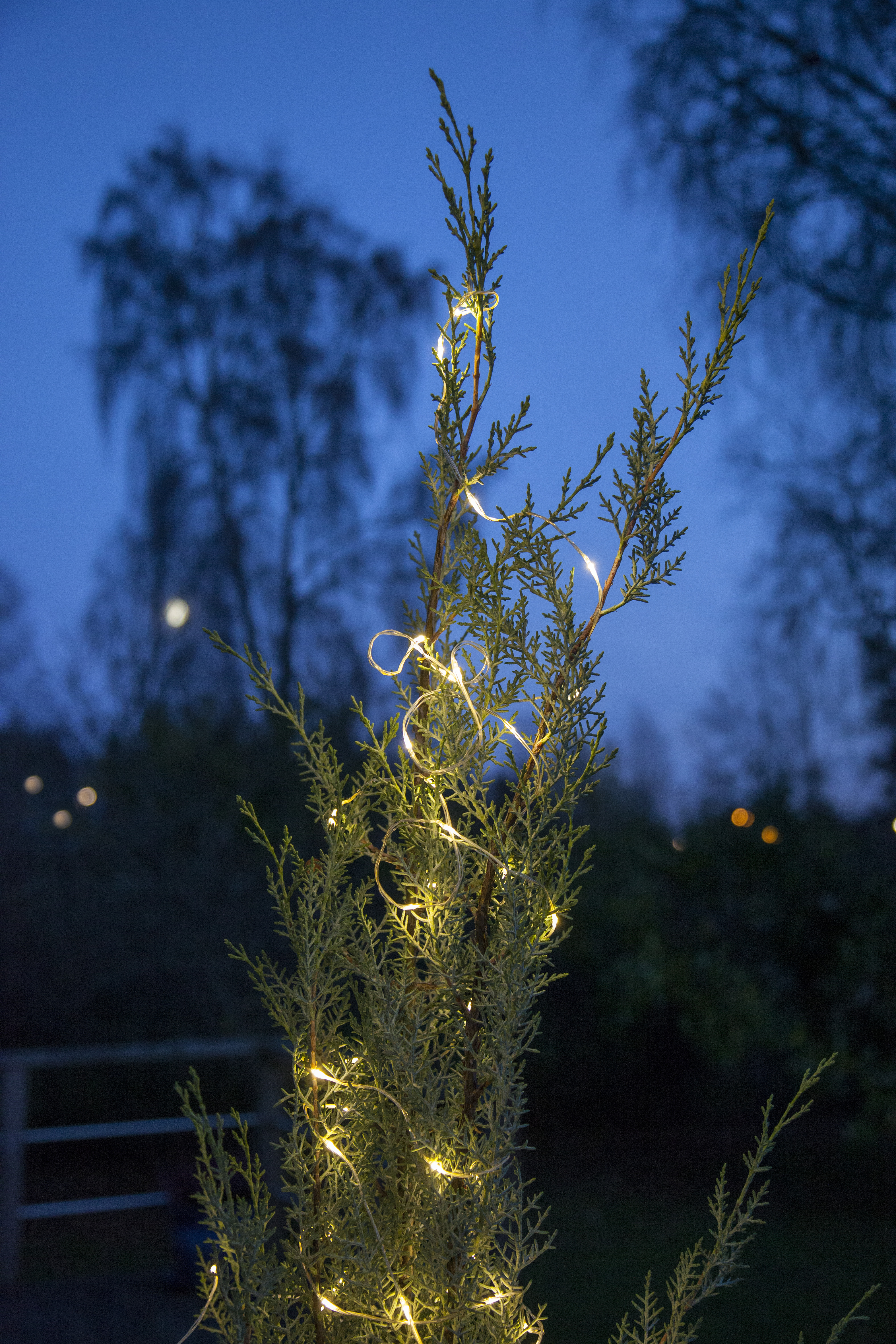 Light string Dew Drop Outdoor - 20 metres - 12