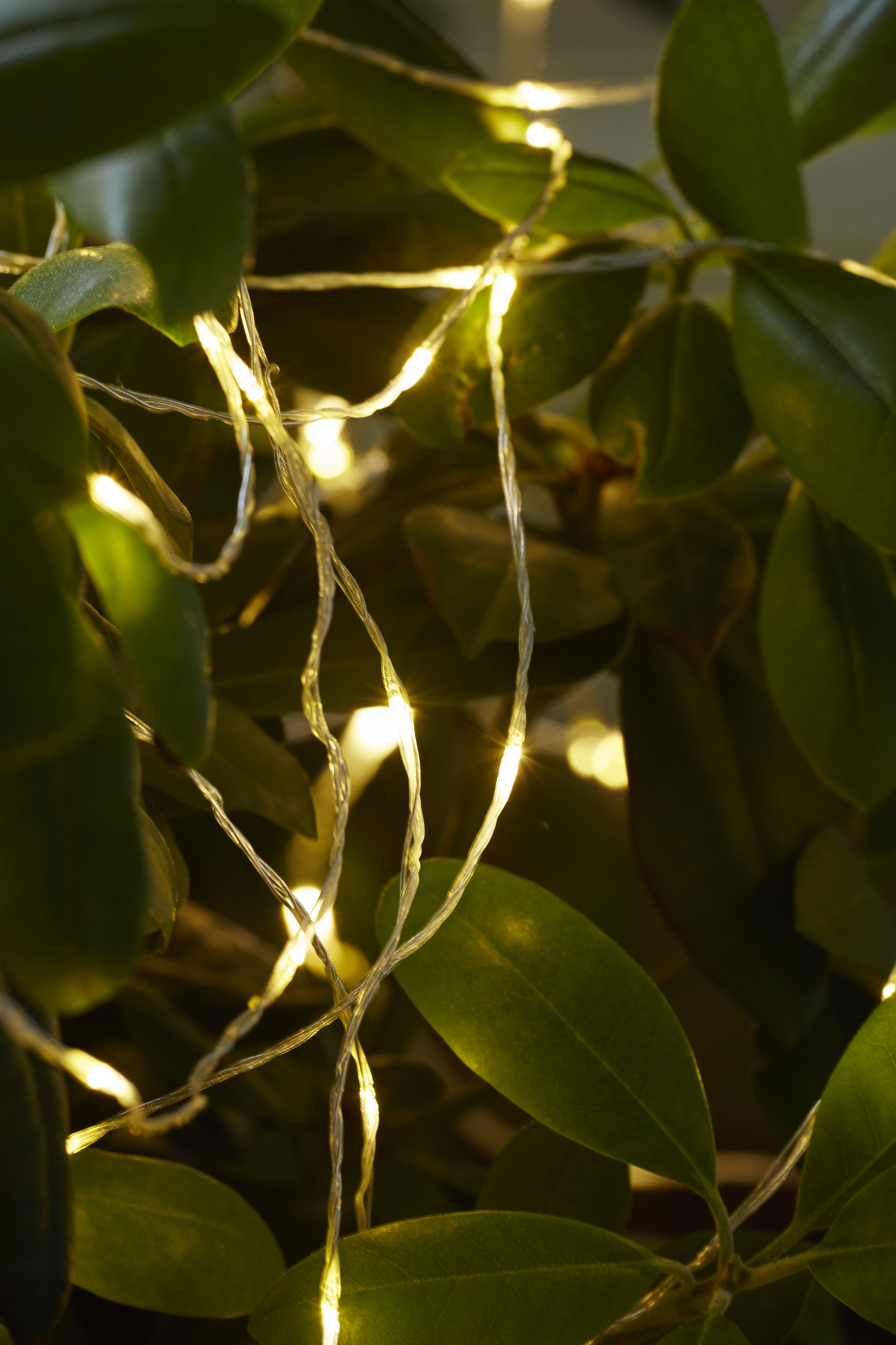 Light string Dew Drop Outdoor - 20 metres - 11