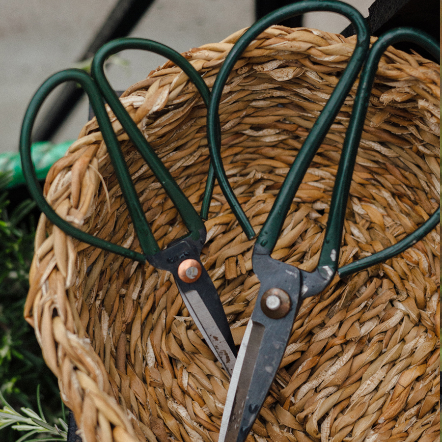 Old-fashioned Scissors - Flower Scissors - Iron Medium - 13