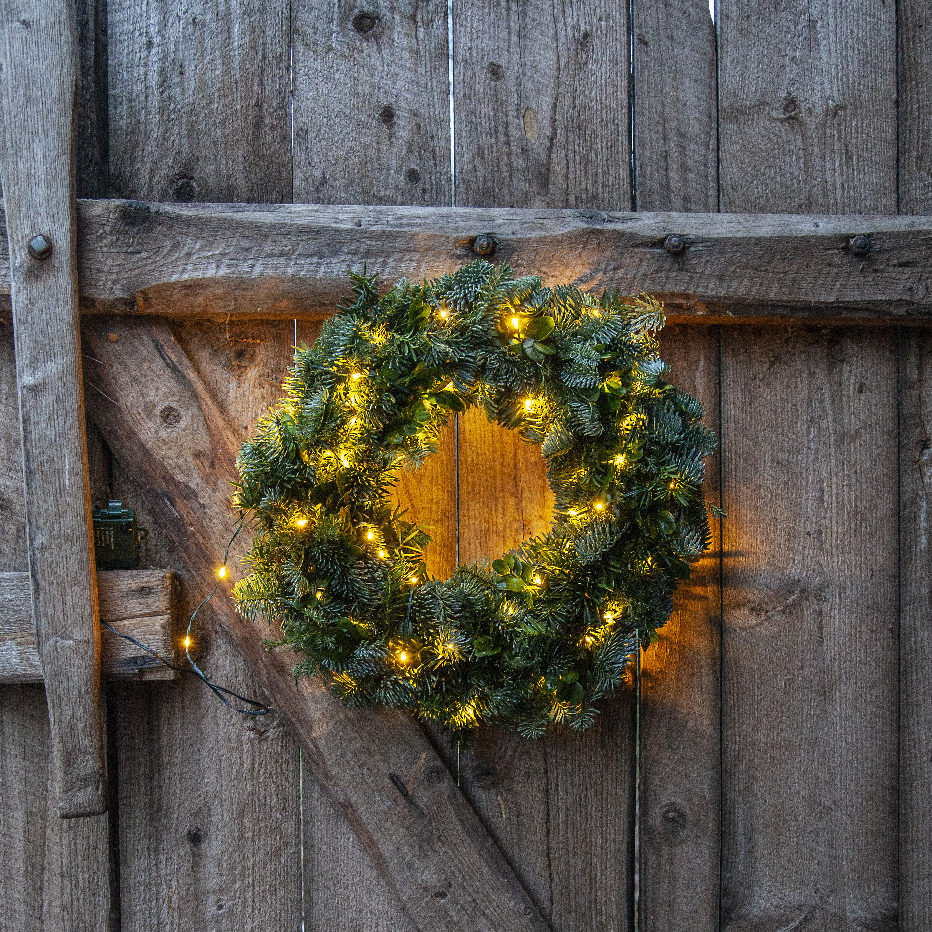 Light string - Dew Drop 46 lights - Green cable - Warm white