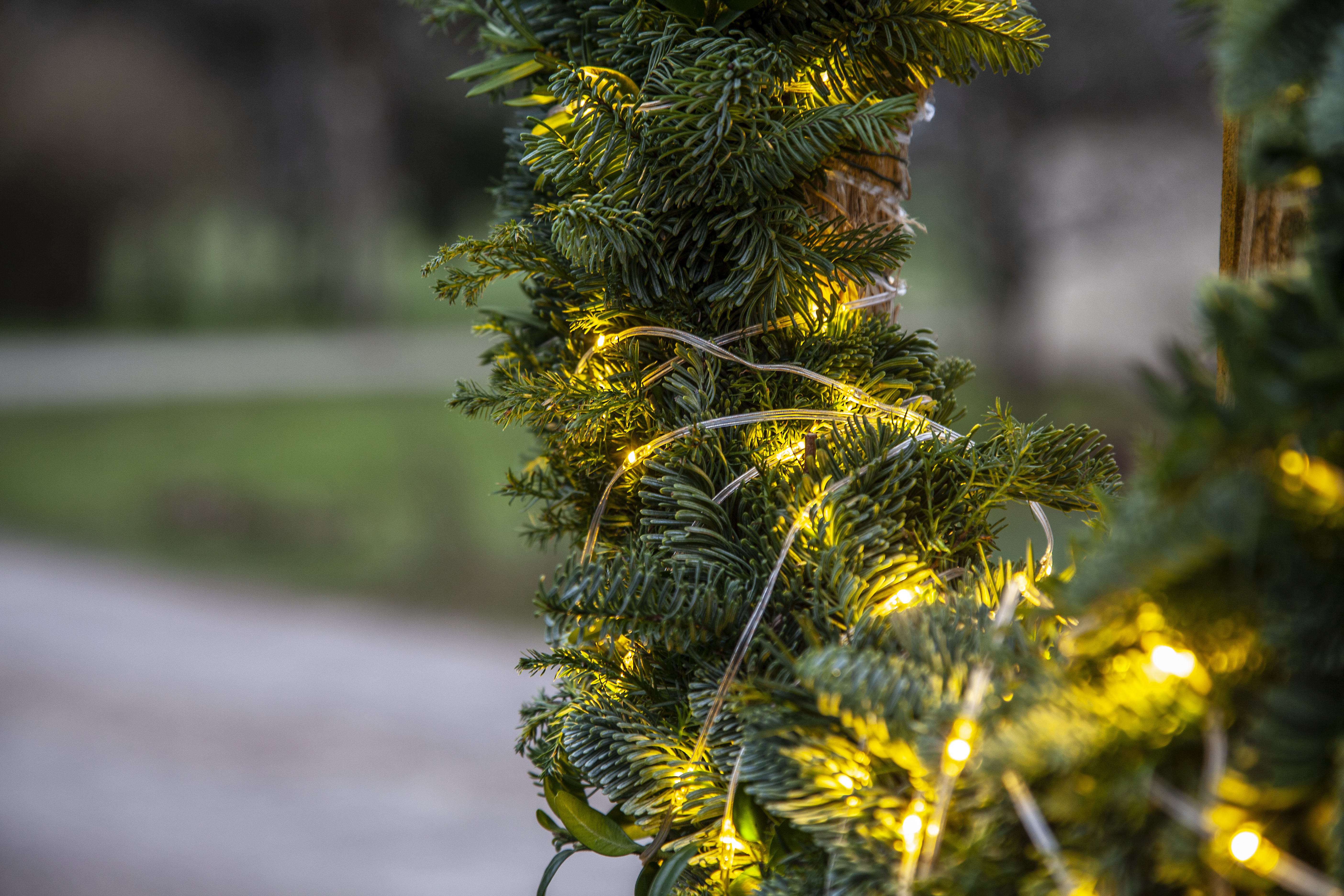 Dew Drop string lights - 96 lights - 3