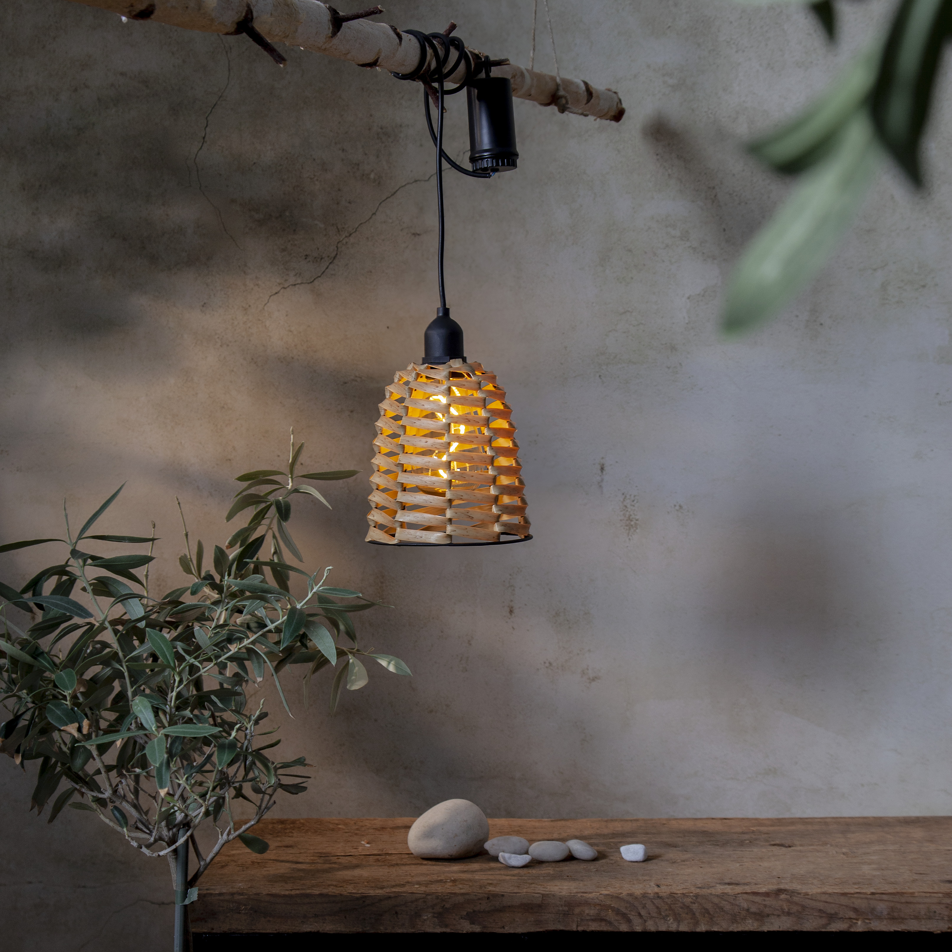 Utomhusdekoration - Lampskärm - Konstrotting  - 5