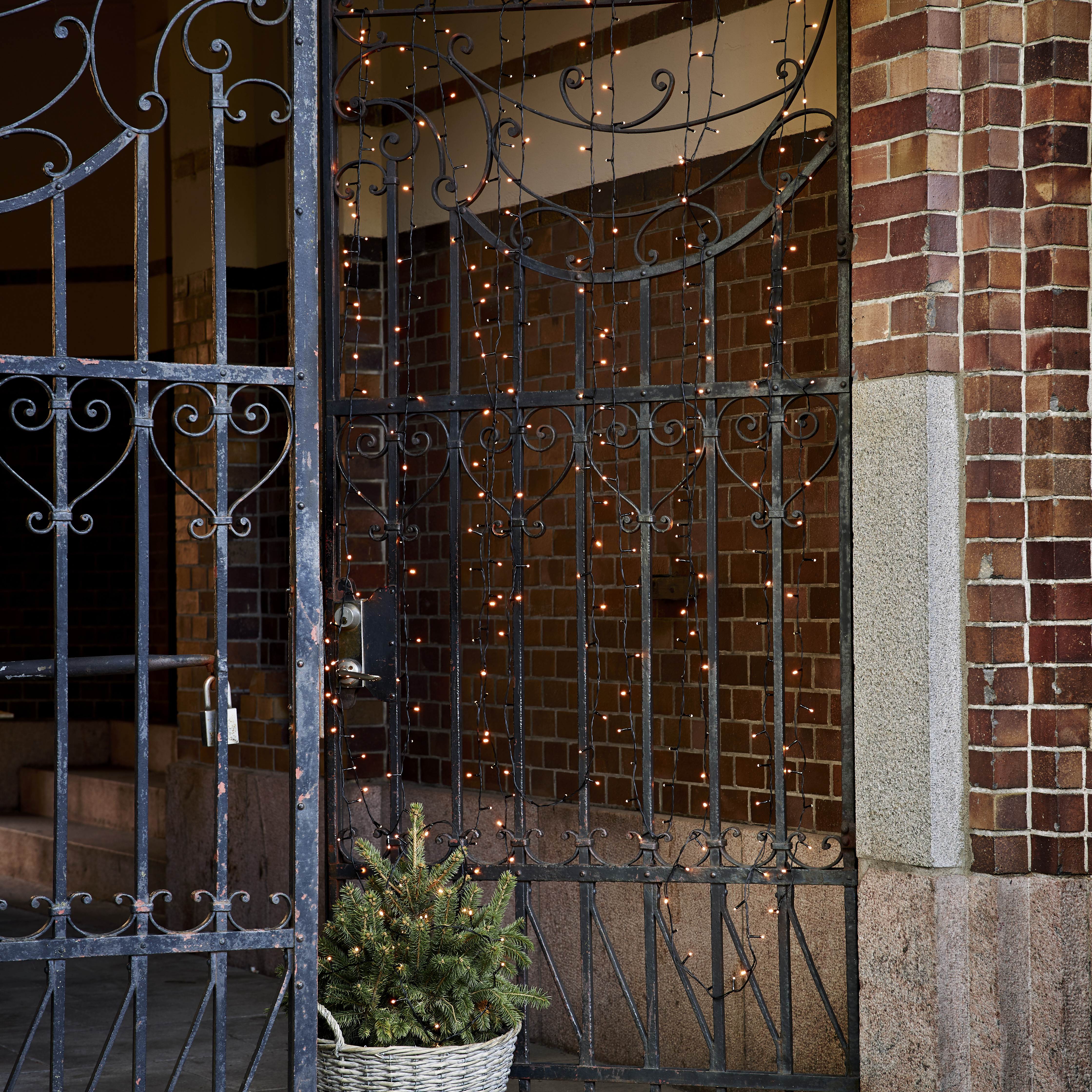 Ljusslinga Golden Warm White - 25 meter - 4