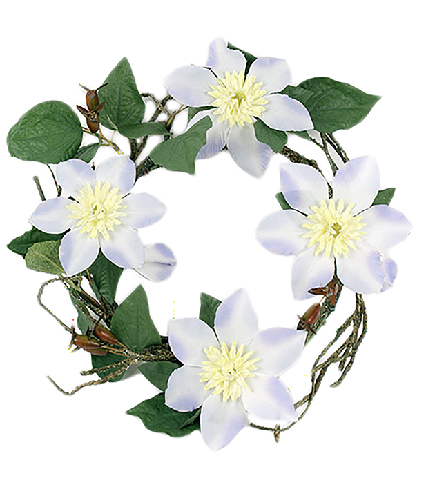 Wreath Clematis - Clematis - Flower wreath - Lavender blue - 30 cm - 2