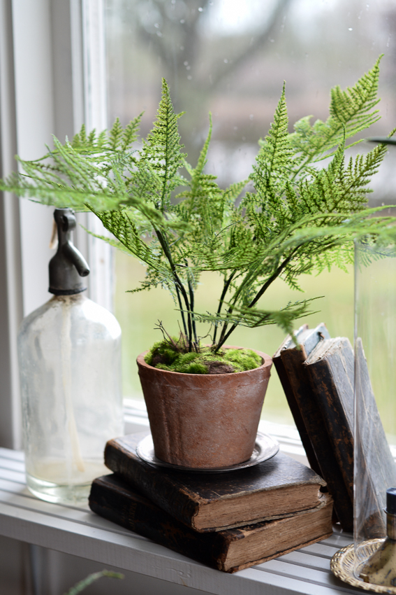 PLUMOSUS/FEATHER ASPARAGUS IN CLAY POT - ARTIFICIAL PLANT