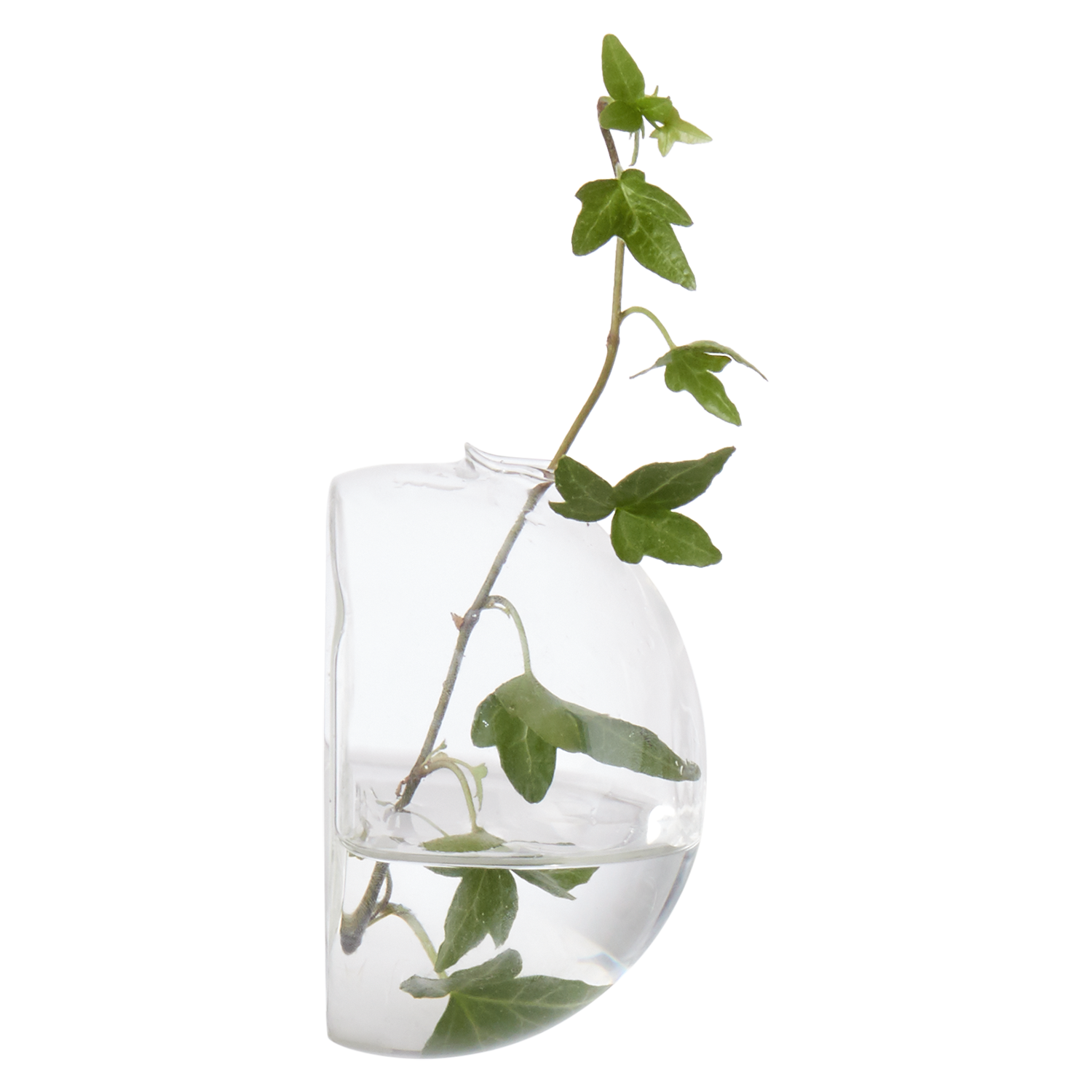 Wall vase - Vase - Glass - Small - 9x9 cm - 8