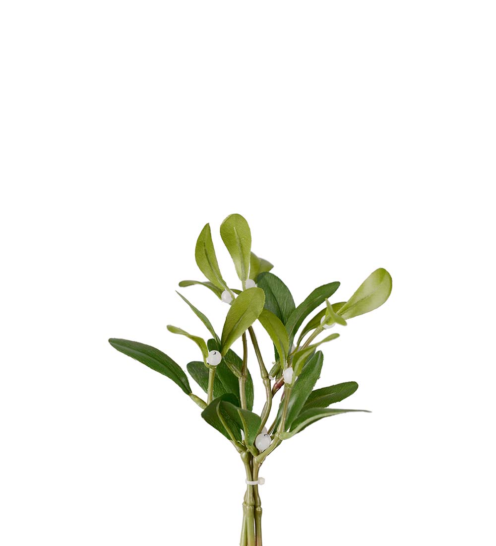 Mistel - Grön 18 cm - 1 styck - 2