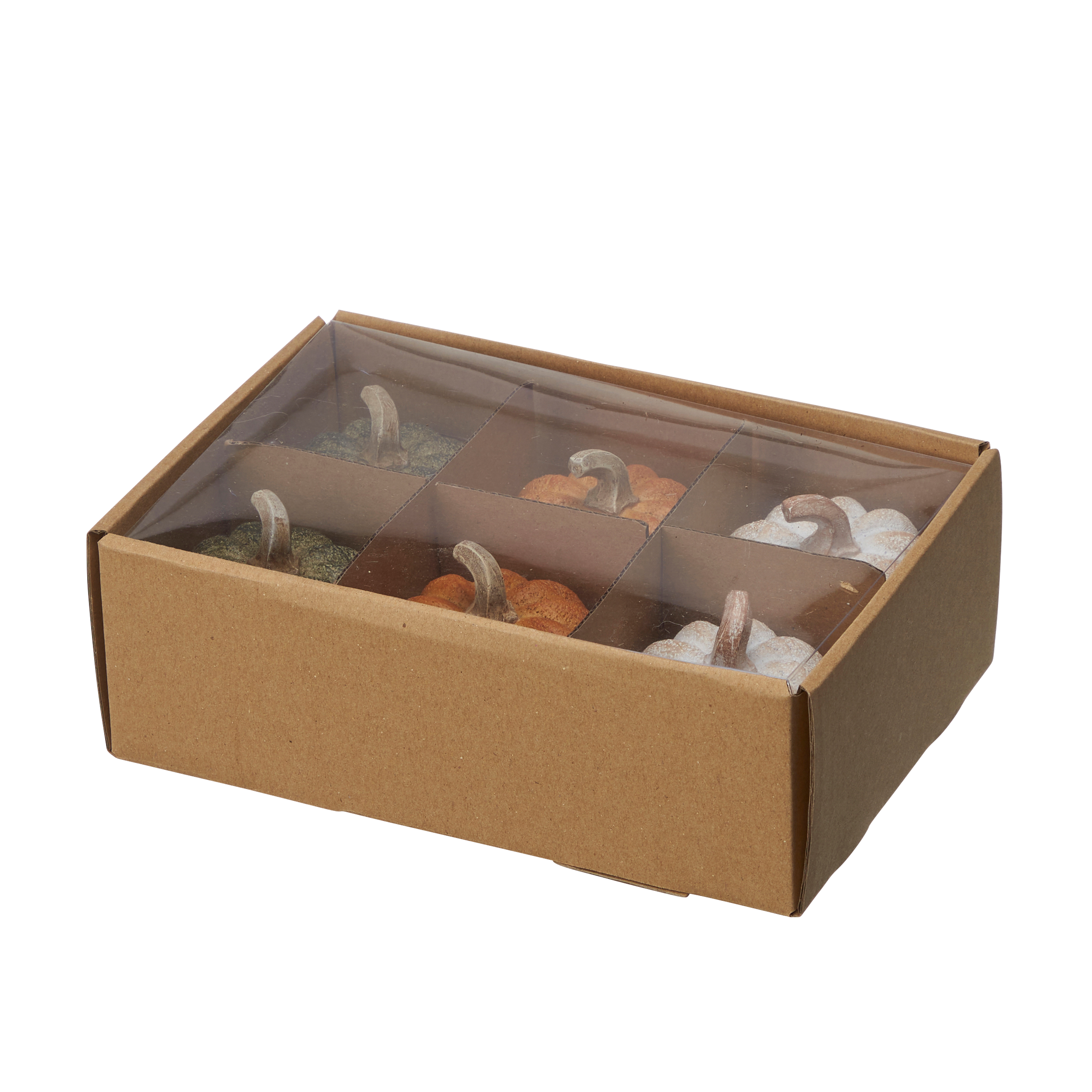 Pumpa - Pumpor - Mix i box - 6-pack - 10