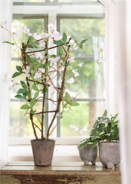 Luktärt i kruka - Vit - 90 cm - 2