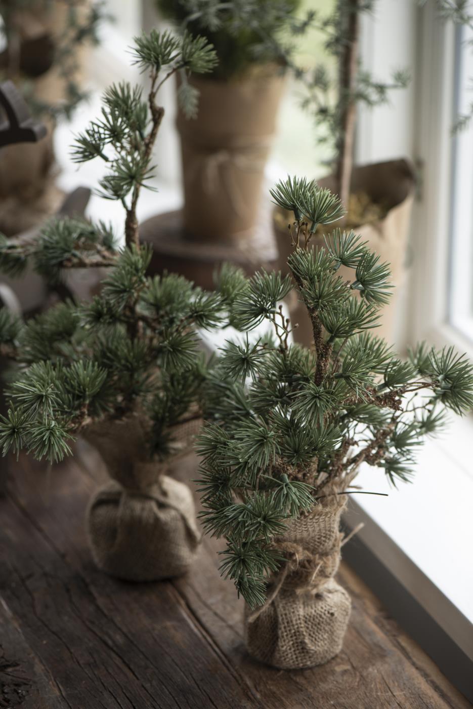Spruce - Cedar tree on a base - Jute - 34 cm - 3