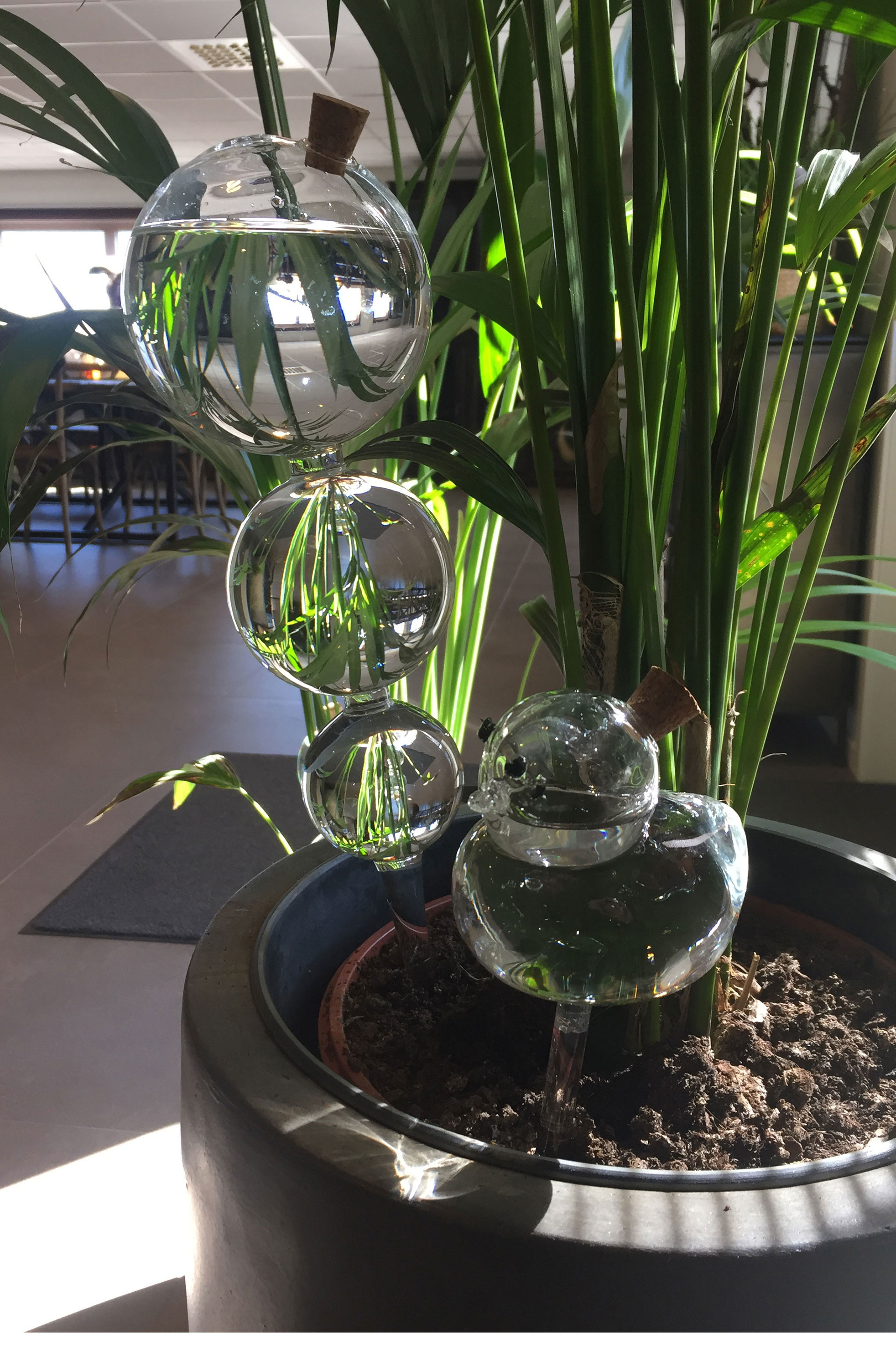 Watering Glass Duck - 25 cm - 4