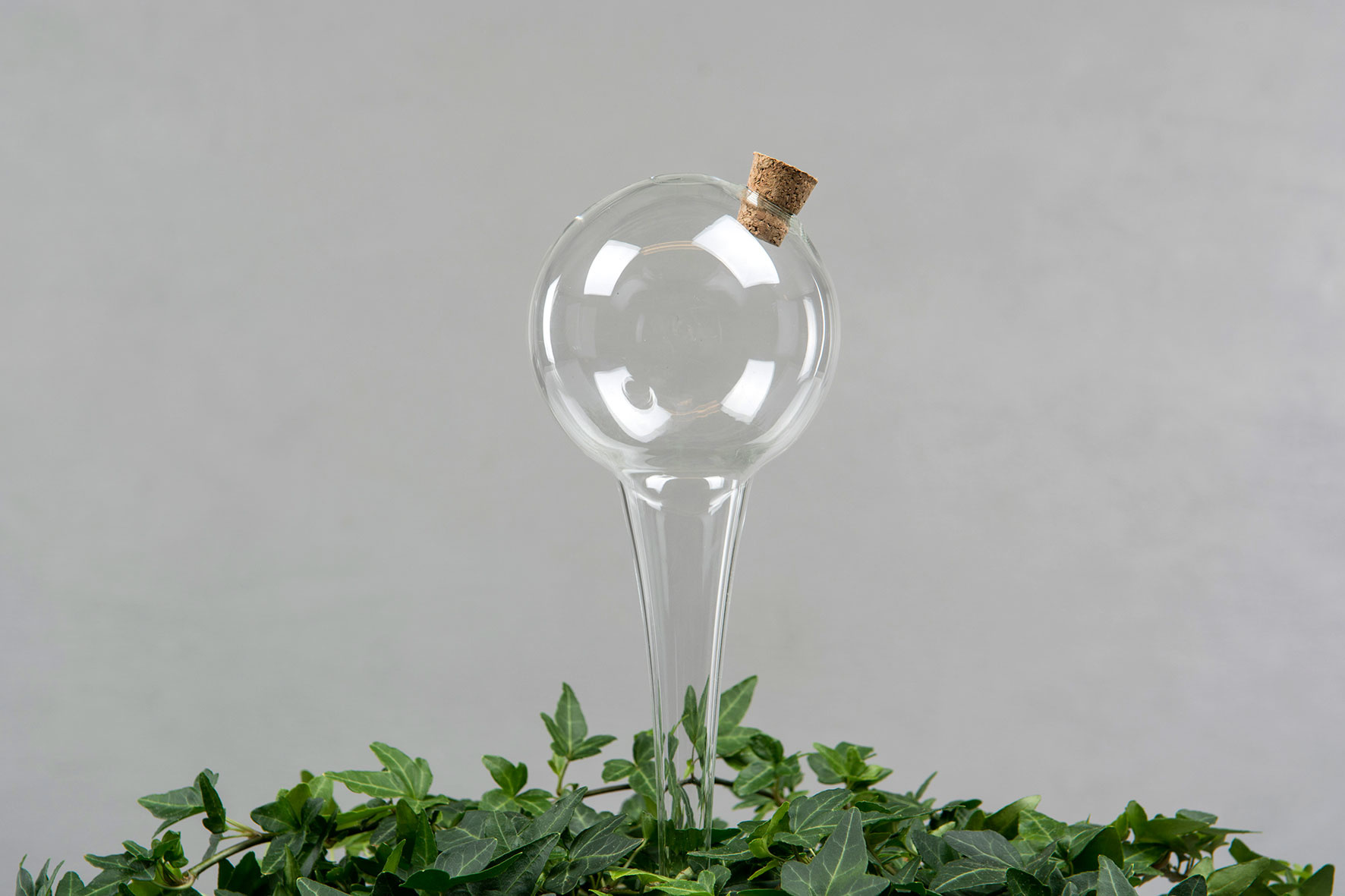 Watering glass Globe - 25x8 cm