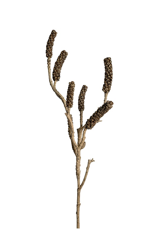 TWIG - DECORATIVE TWIG - ARTIFICIAL PLANTS 60 CM - 6