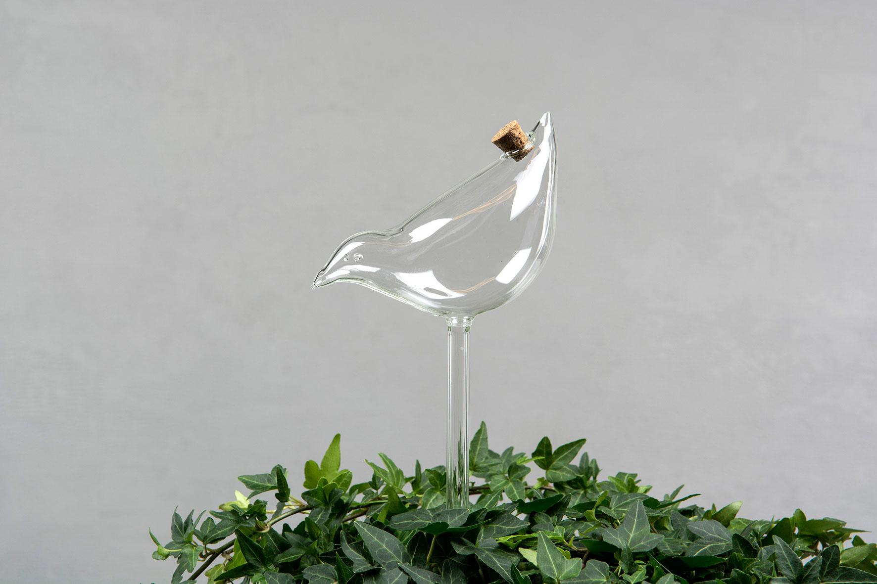 Watering glass - Watering device - Bird - 25 cm