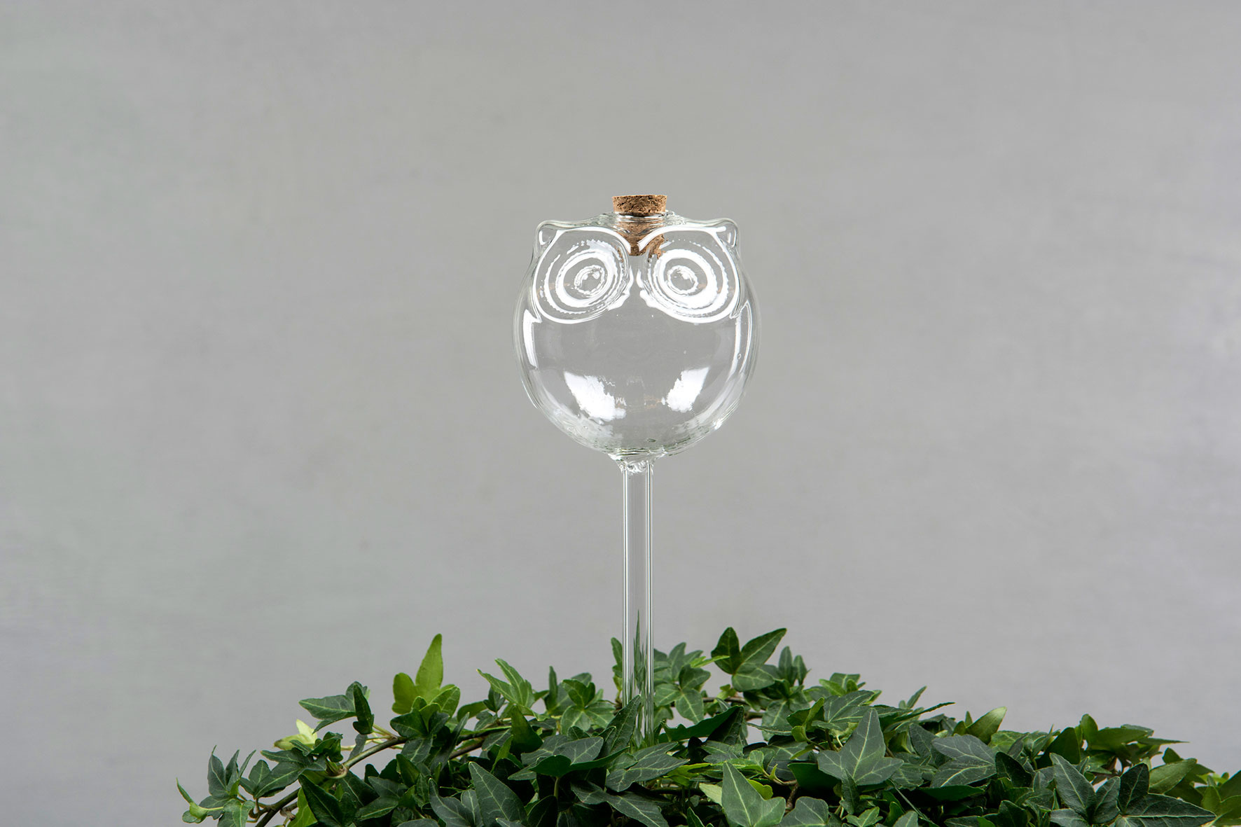 Watering glass - Watering can - Owl - 25 cm