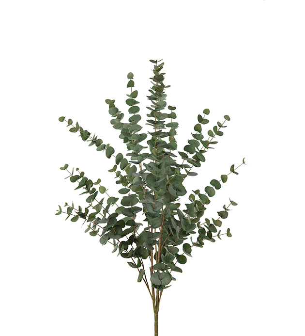 Eucalyptus - 120 cm