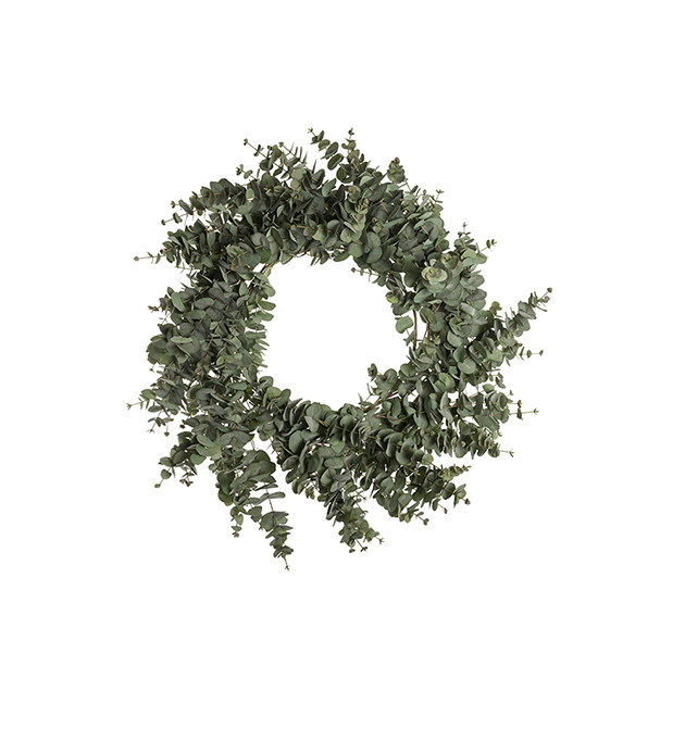 Eucalyptus krans - 100 cm - 6