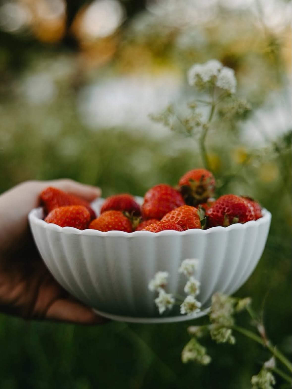 SOMMARREA  