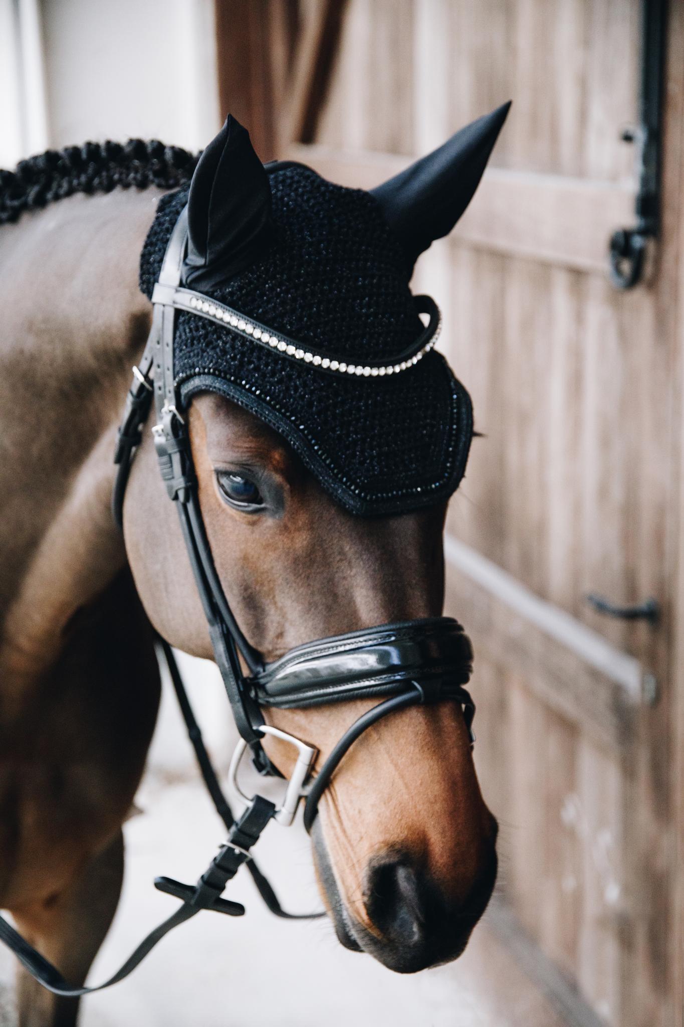 KENTUCKY HOOD WELLINGTON GLITTER - PONY - 3