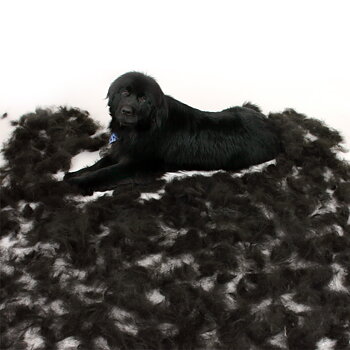 FURMINATOR