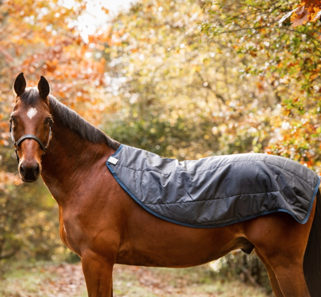 RAMBO AUTUMN SERIES  - 9