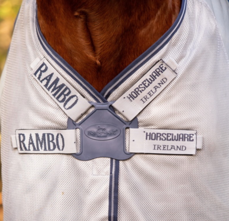 RAMBO AUTUMN SERIES  - 10